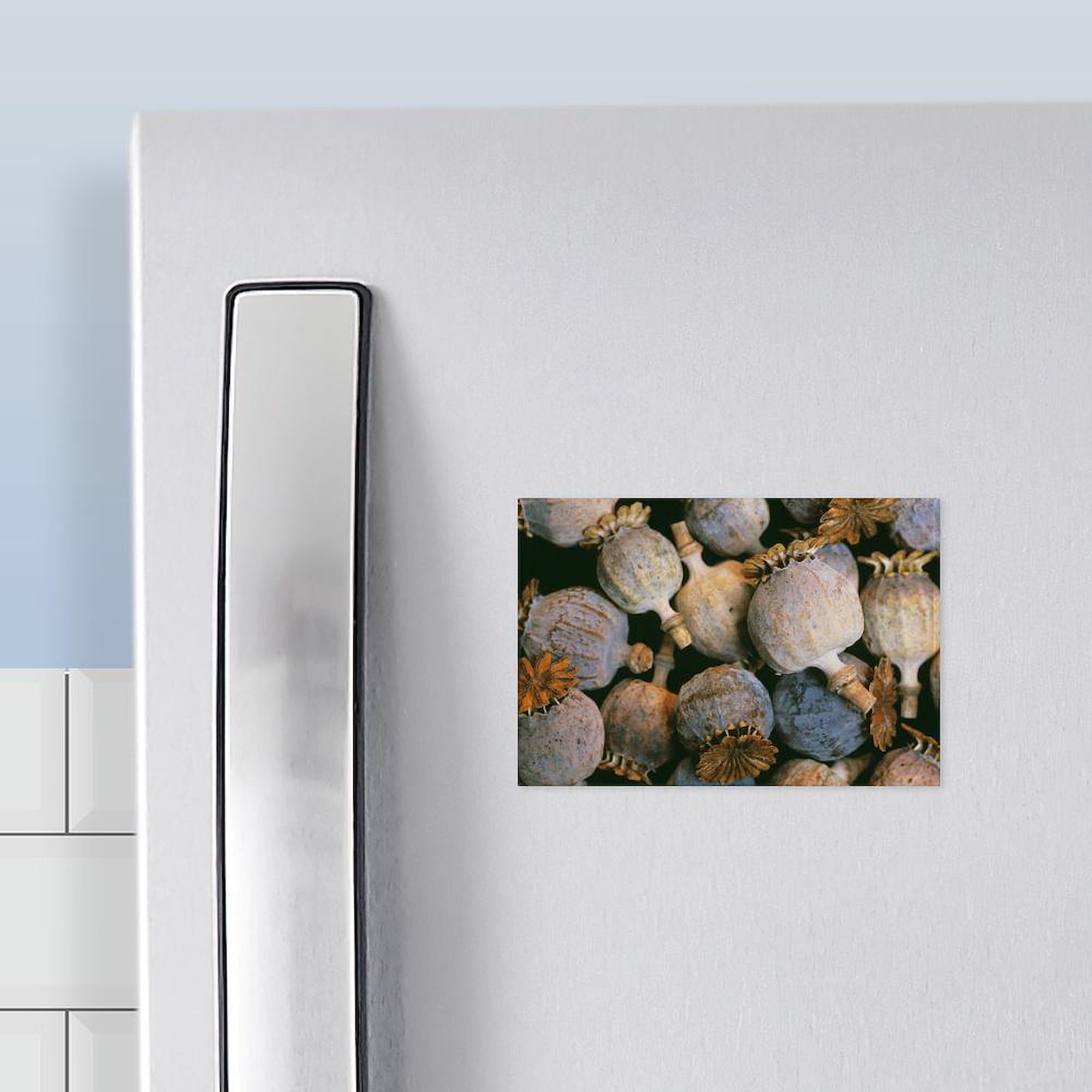 Cafepress Dried Opium Poppies Rectangle Magnet, 3''X2'' Refrigerator Magnet