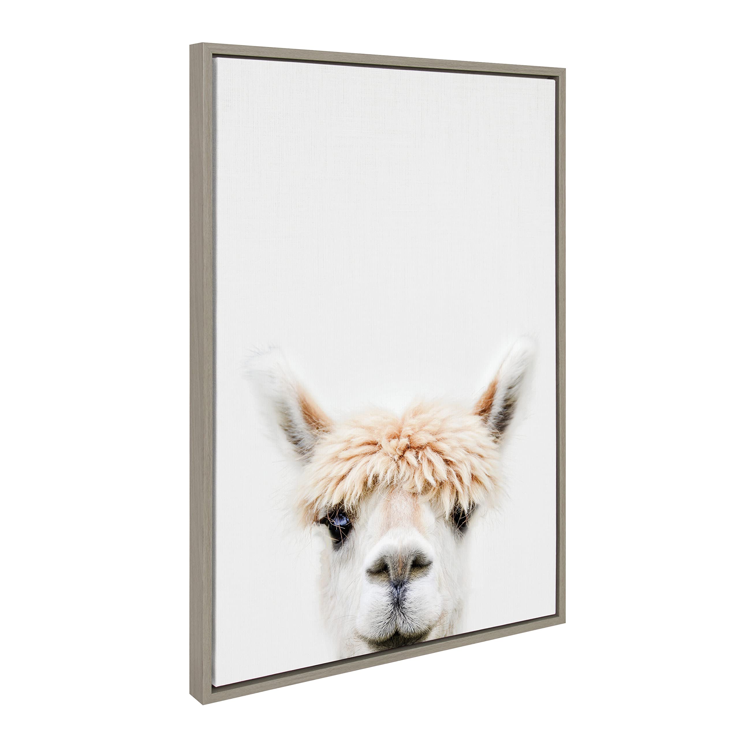 Kate And Laurel Sylvie Alpaca Bangs Framed Canvas Wall Art By Amy Peterson Art Studio, 23X33 Gray, Decorative Adorable Animal Ar