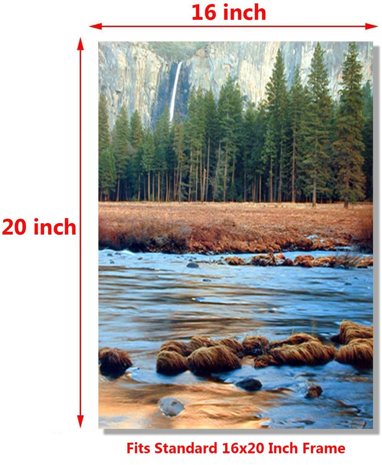 Yosemite Falls & River Trees National Park Landscape Scenery Wall Decor Art Print Poster (16X20)