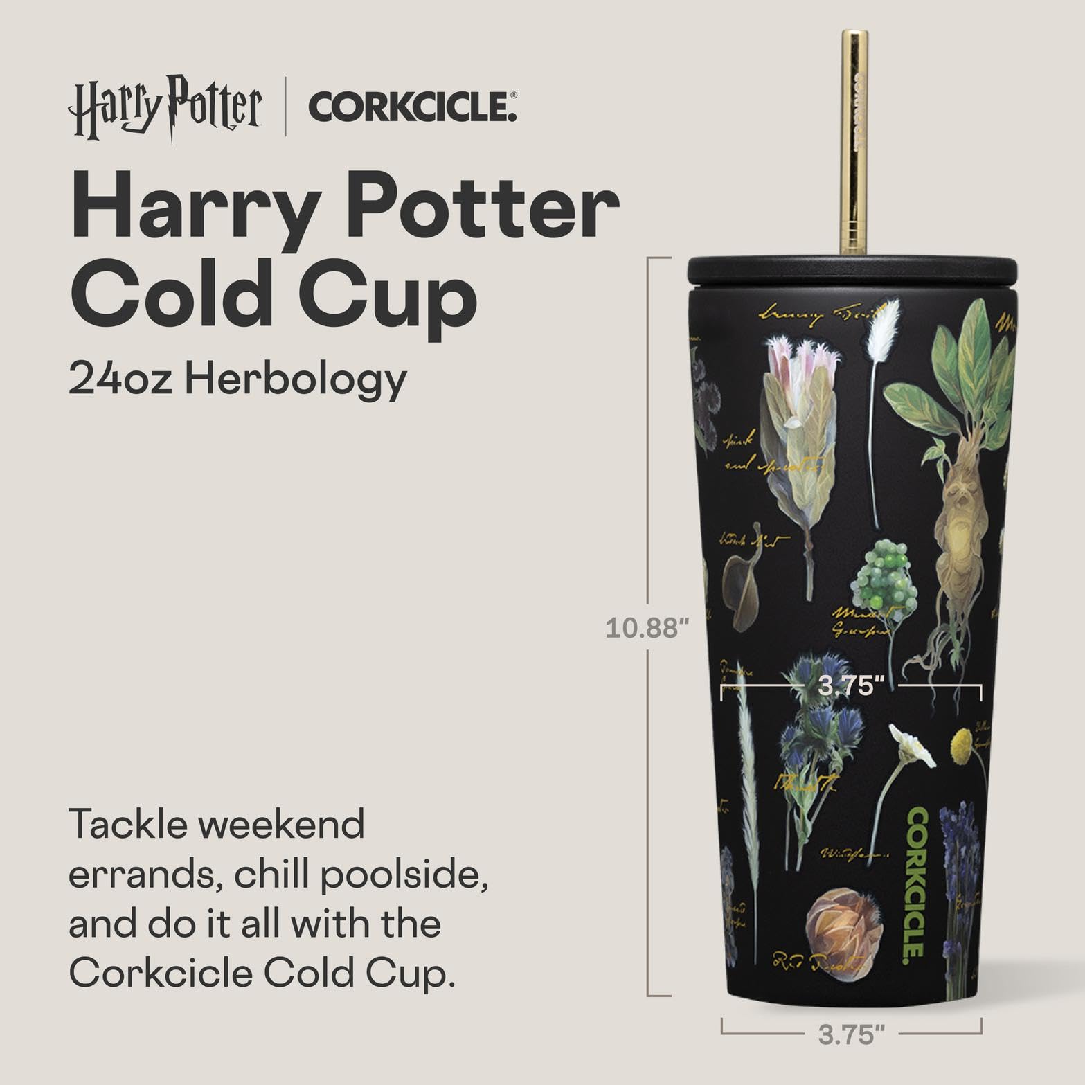 Corkcicle Warner Brothers Cold Cup - Keeps Drinks Cold for 12 Hours - Triple-Insulated Stainless Steel - Straw & Screw-On Lid -