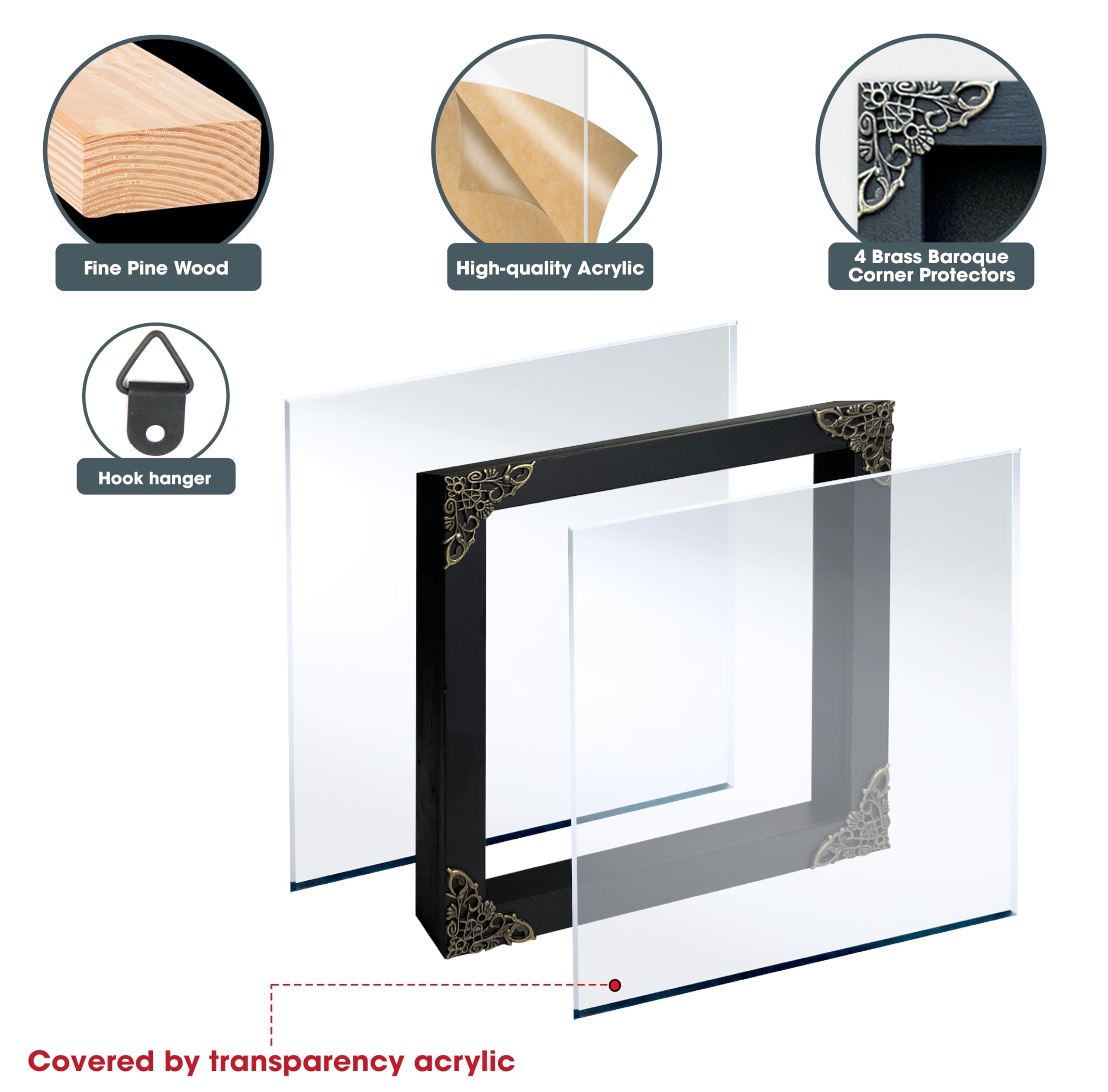 Real Framed Attacus Atlas Moth Butterfly Dead Insect Dried Bug Lover Shadow Box Taxidermy Collectables Specimen Tabletop Wall Ro