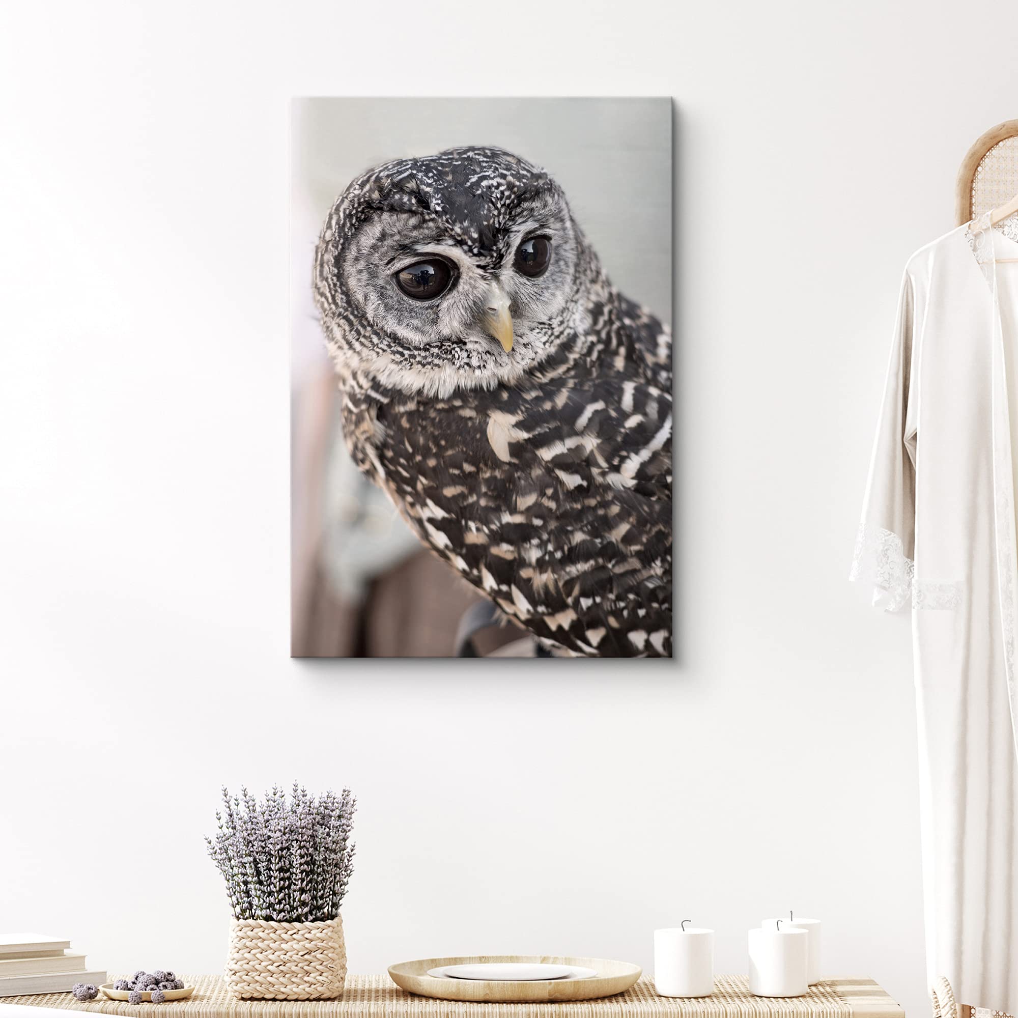Signford Canvas Print Wall Art Gray Owl With Bokeh Camera Effect Animals Wildlife Photography Realism Rustic Portrait Relax/Calm