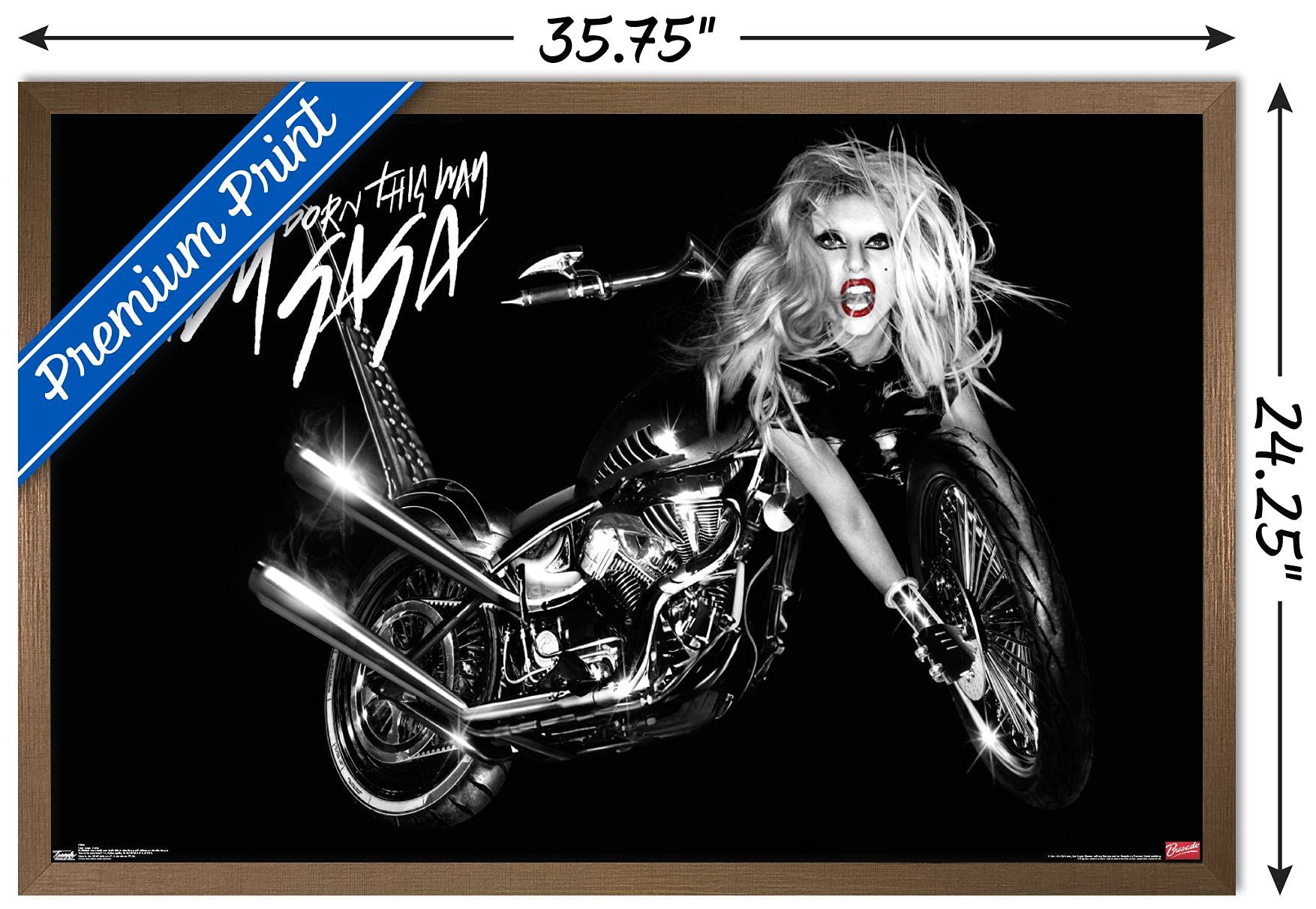 Trends International Lady Gaga - Cover Wall Poster, 22.375'' X 34'', Bronze Framed Version