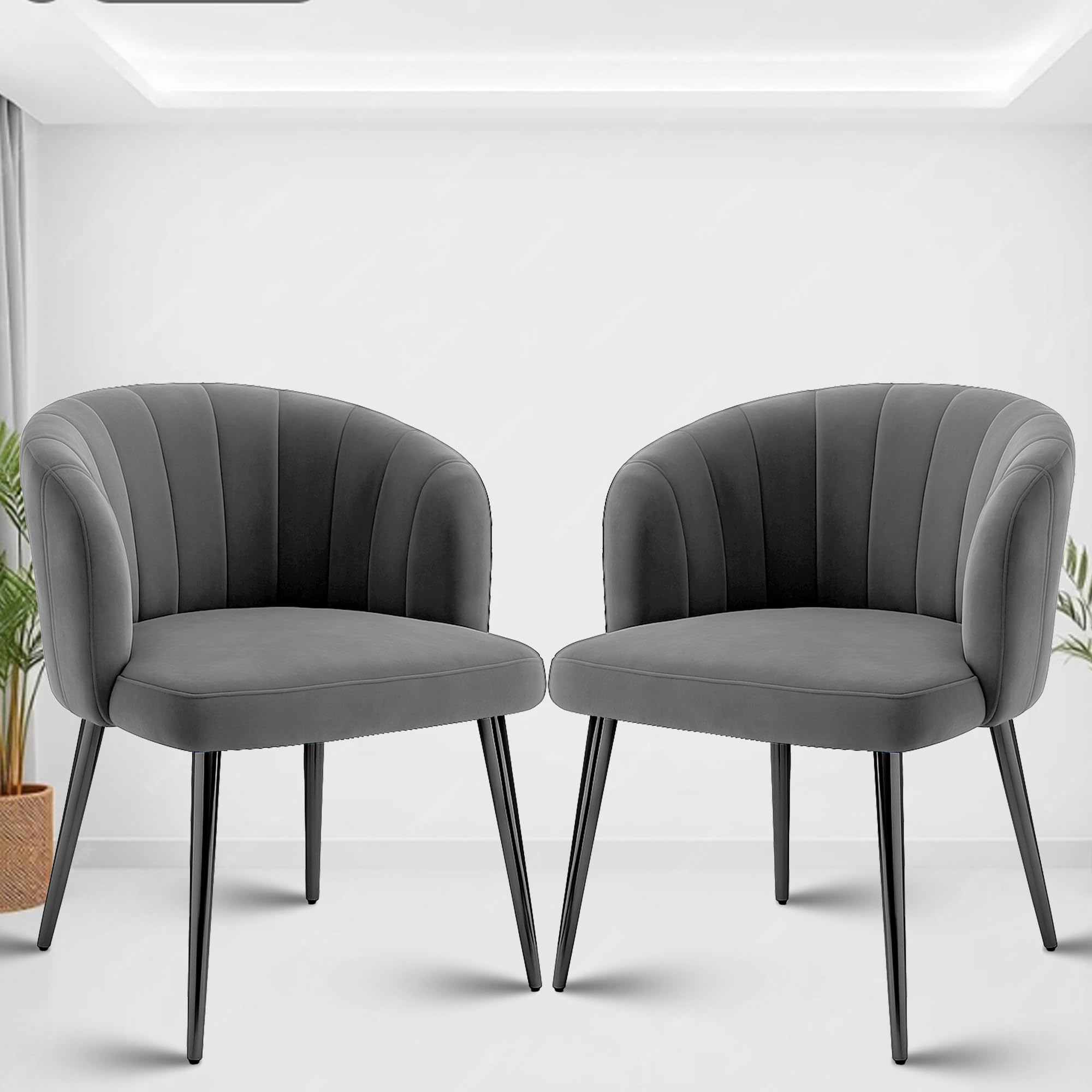Rose Fire Cafe | Kitchen | Living Room Chair | Velvet Dining Chair For | Restaurants (2, Gray, Plain Valvet)
