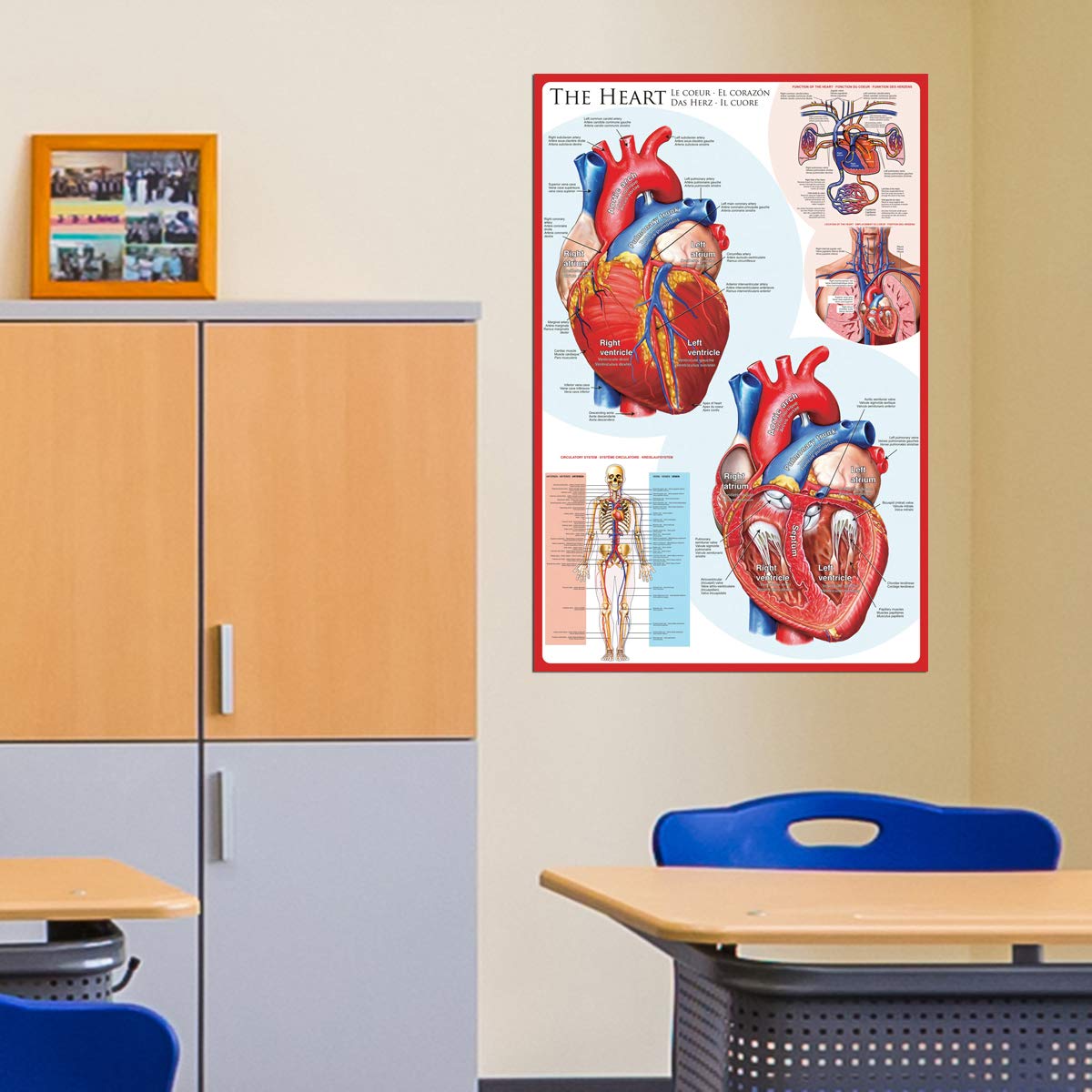 Eurographics The Heart Poster, 36 X 24 In