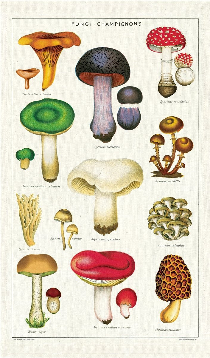 Cavallini Papers Vintage Mushrooms Cotton Tea Towel