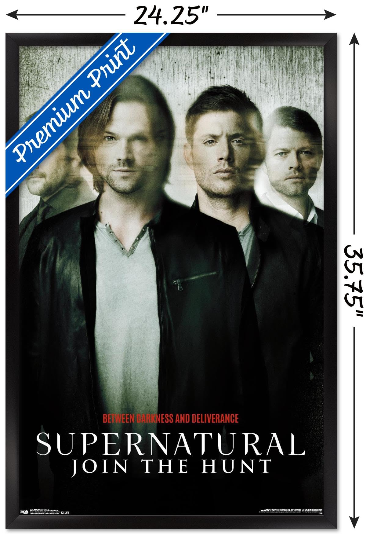 Trends International Wall Poster Supernatural Key Art, 22.375 X 34
