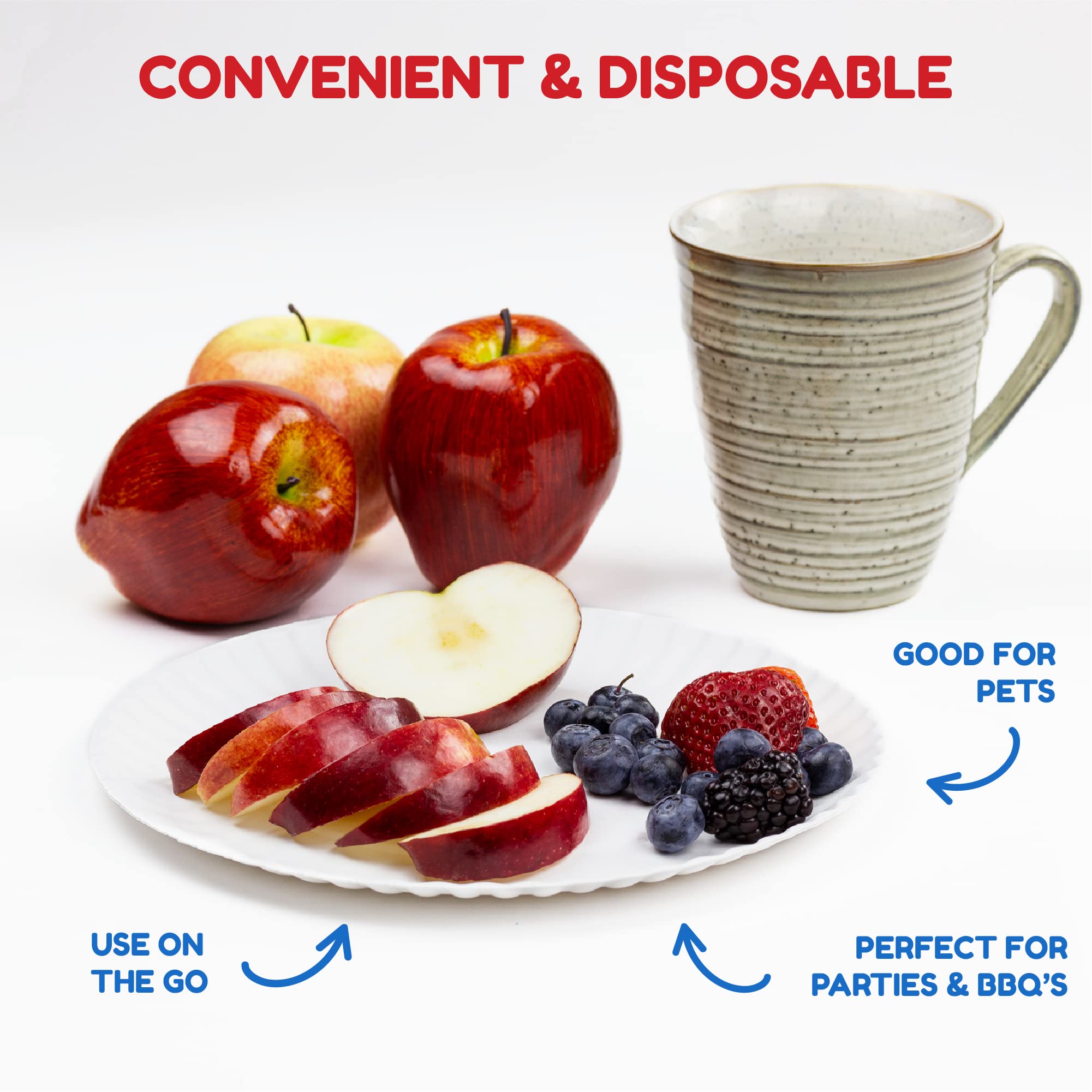Hygloss Products 69109 Paper Plates (69109), 9'', 100 Pcs
