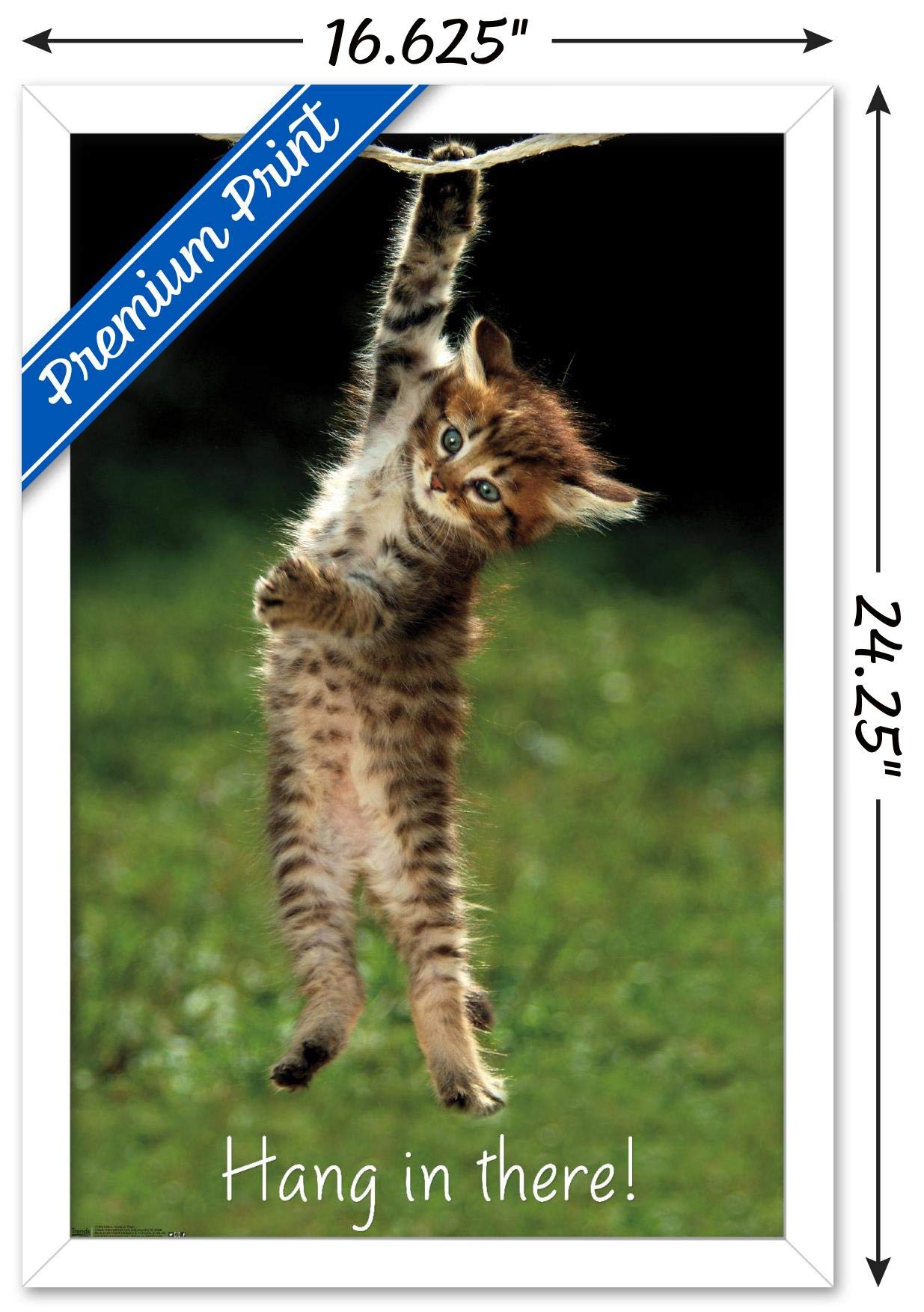 Trends International Famous Kitten Hang In There Poster Wall Poster, 14.72'' X 22.37'', White Framed Version