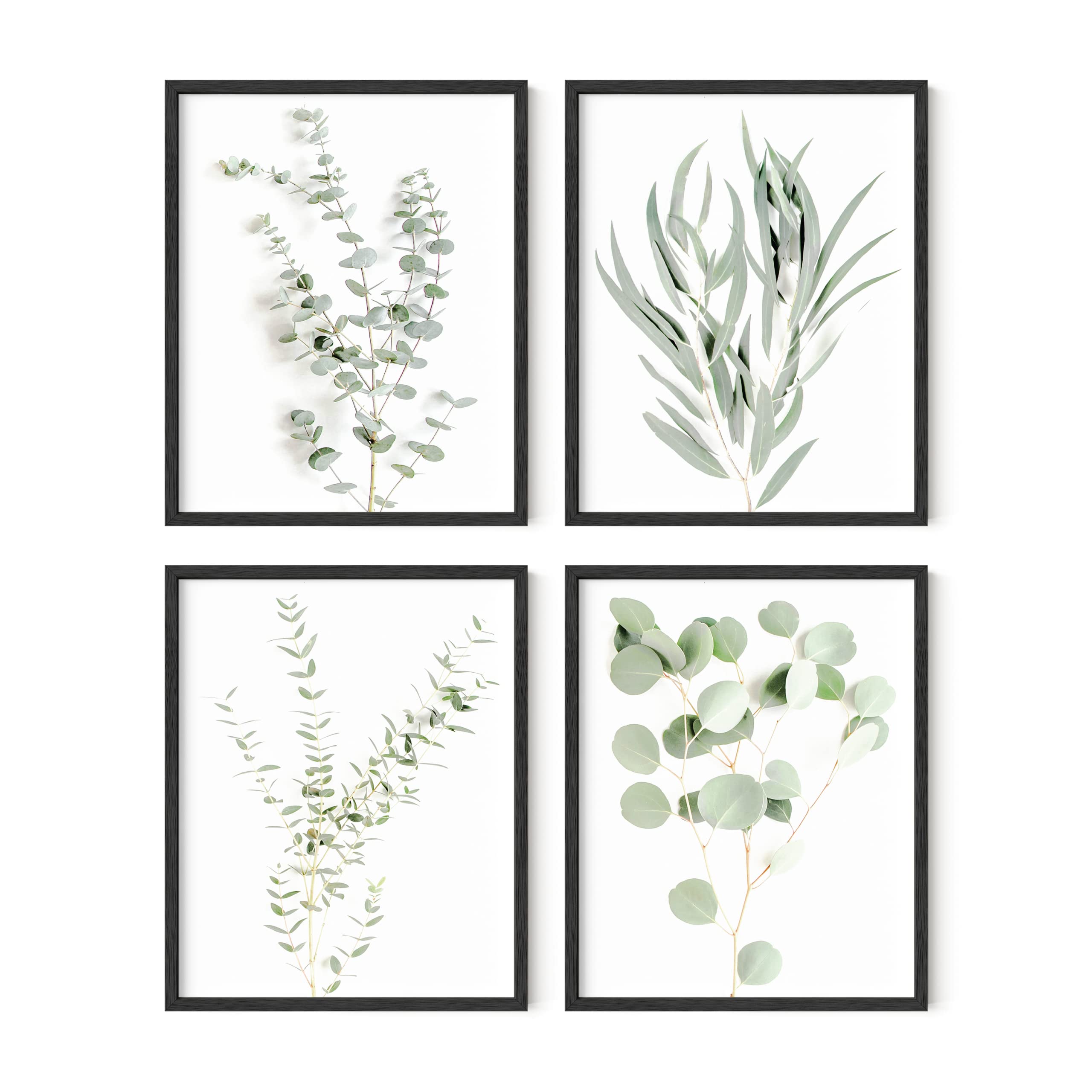 HAUS AND HUES Botanical Plant Wall Art Prints - Set of 4 Plant Wall Decor Prints, Floral Kitchen Plant Pictures, Flower Leaves W
