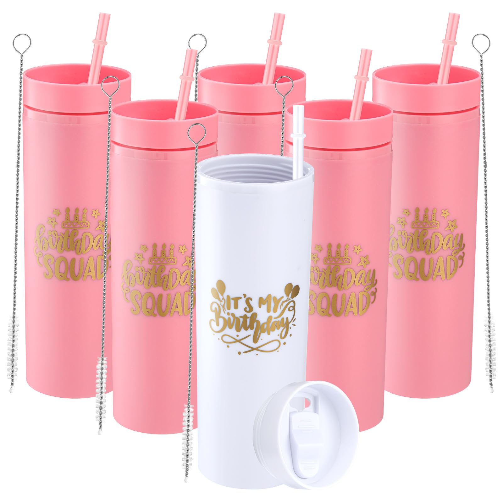 Willinglong 6 Pcs Birthday Party Tumblers 16 oz Birthday Squad Skinny Tumbler with Lid and Straw Double Wall Plastic Tumblers fo