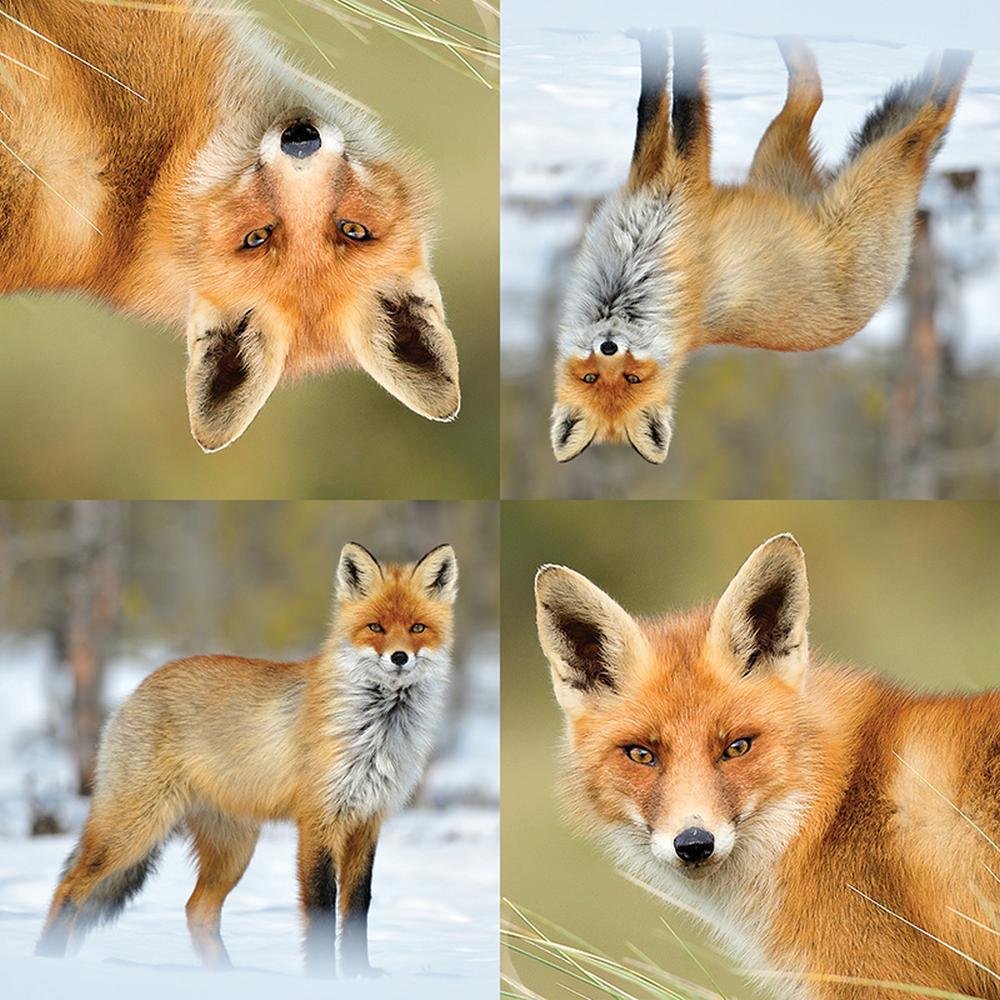 Esschert Design Tp186 Fox Napkins