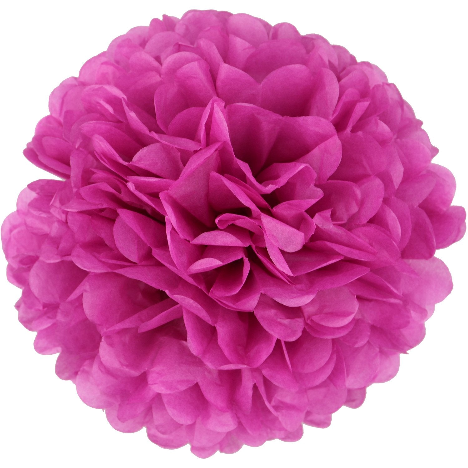 Lightingsky 10Pcs Diy Decorative Tissue Paper Pom-Poms Flowers Ball Perfect For Party Wedding Home Outdoor Decoration (6-Inch Di