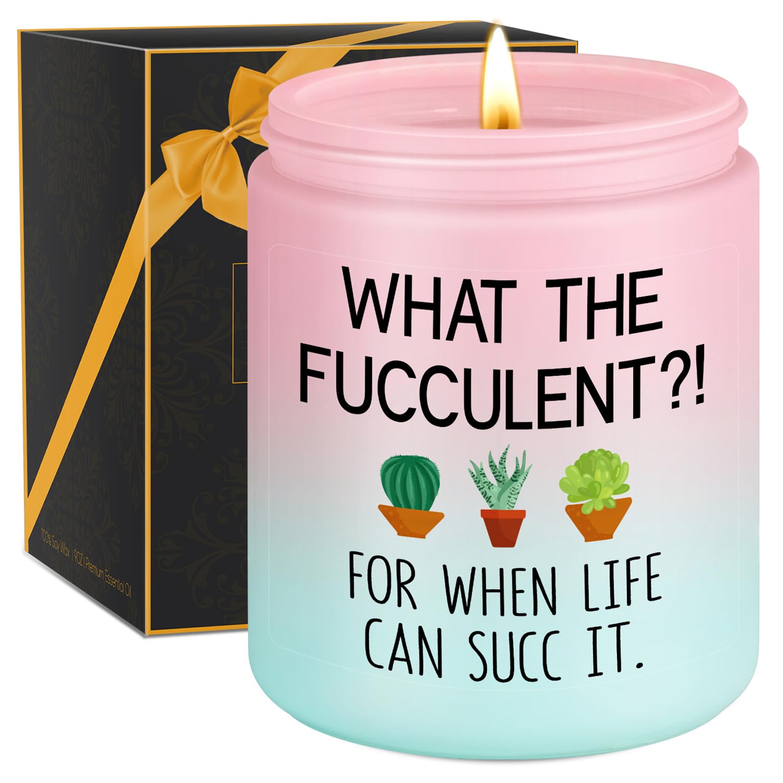 Miracu Succulent Candle, Get Well Presents for Women, Cheer up Presents for Her, Pick Me up, Plant Lover Gifts for Women - Funny