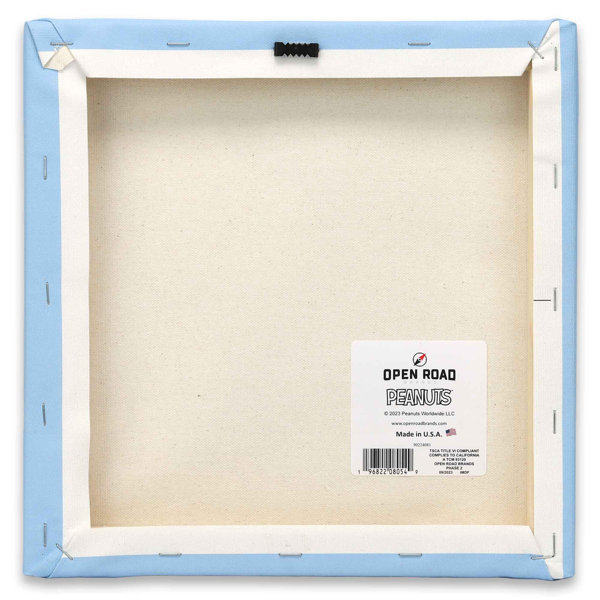 Open Road Brands Snoopy and Woodstock Canvas Wall Art - 12" x 12" Blue Decor, Model 90224081