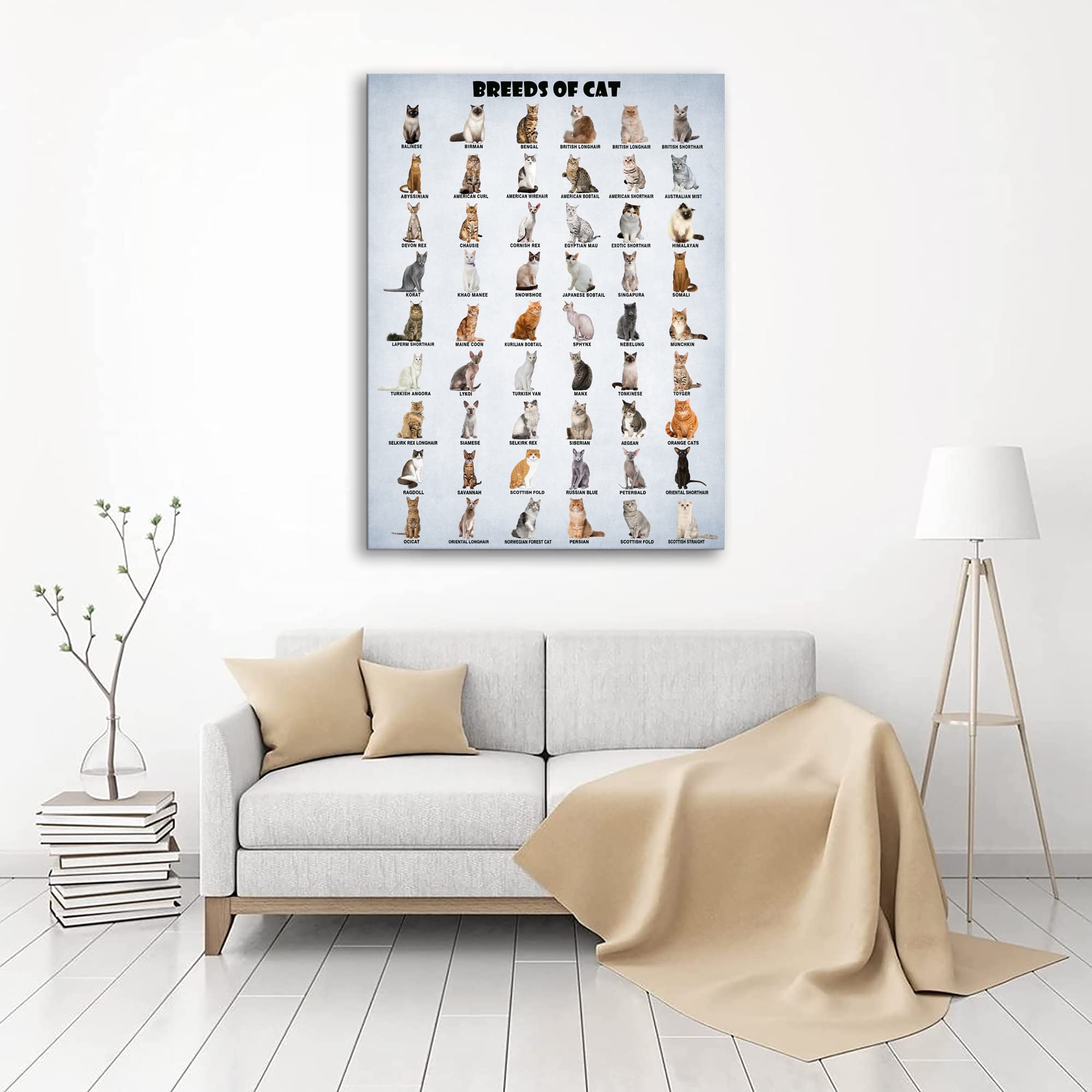 Hllnwb Breeds Of Cat Poster Types Of Cat Poster Cat Of The World Funny Cat Lovers Poster (Unframed 16X24Inch)