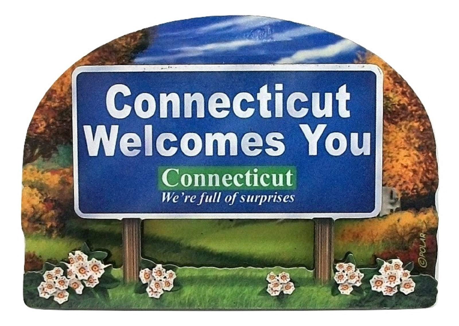 Connecticut State Welcome Sign Wood Fridge Magnet