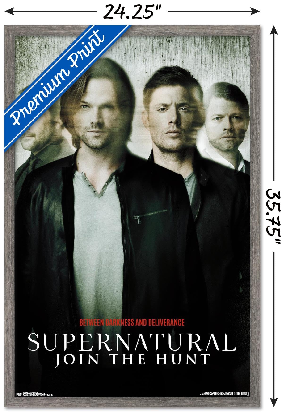Trends International Supernatural - Key Art 11 Wall Poster, 34L X 22.4W, Barnwood Framed Version