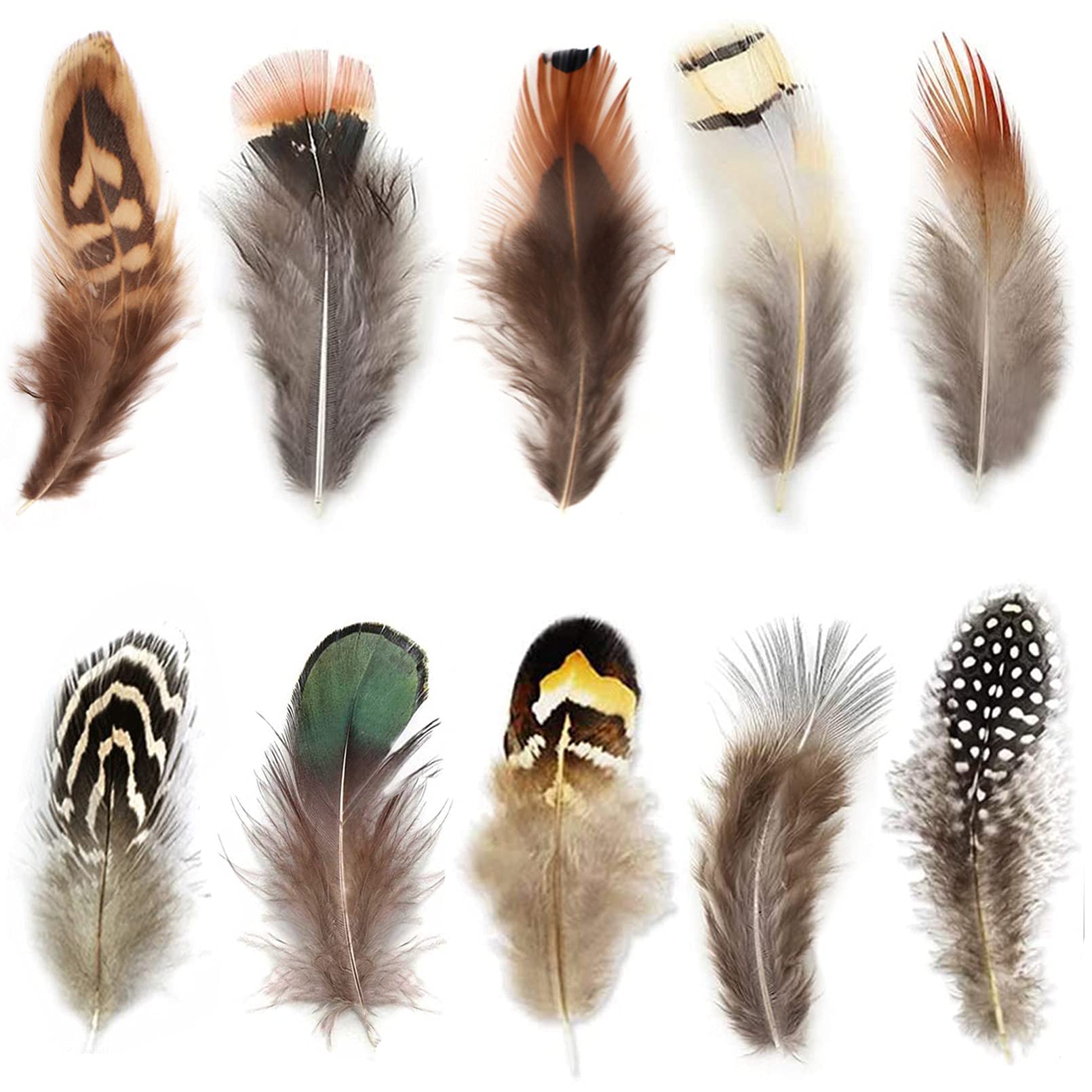 300Pcs 10 Style Natural Feathers Assorted Mixed Feathers For Dream Catcher Crafts Decoration A (10 Styles300 Pcs)