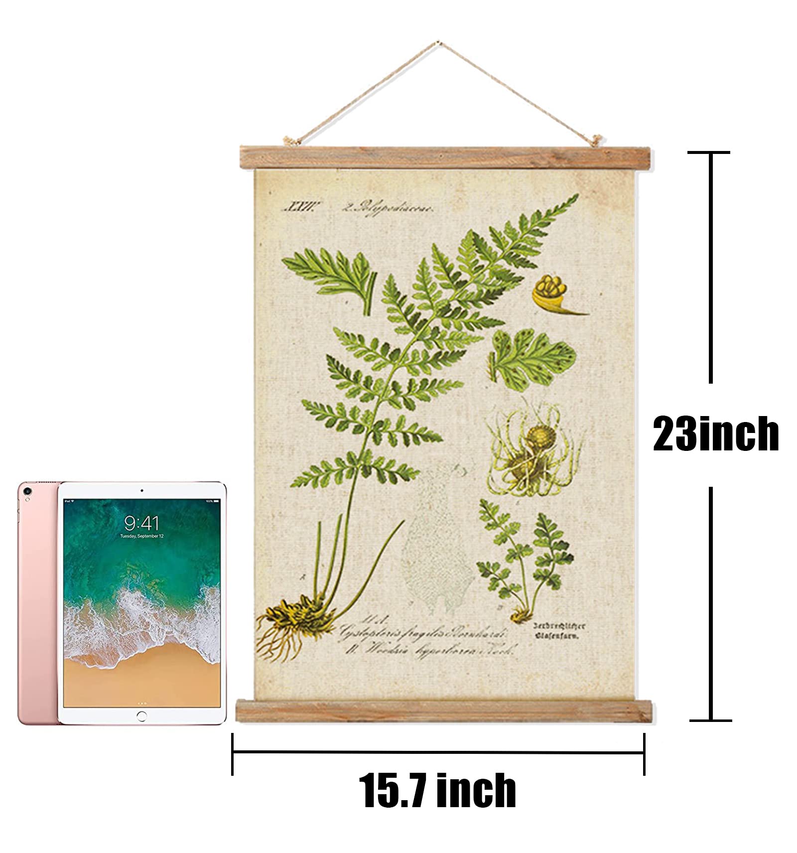 2 Pack Vintage Ferns Poster Hanger Frame, Retro Style Wall Art Prints, Printed On Linen With Natural Wooden Frames, For Living R