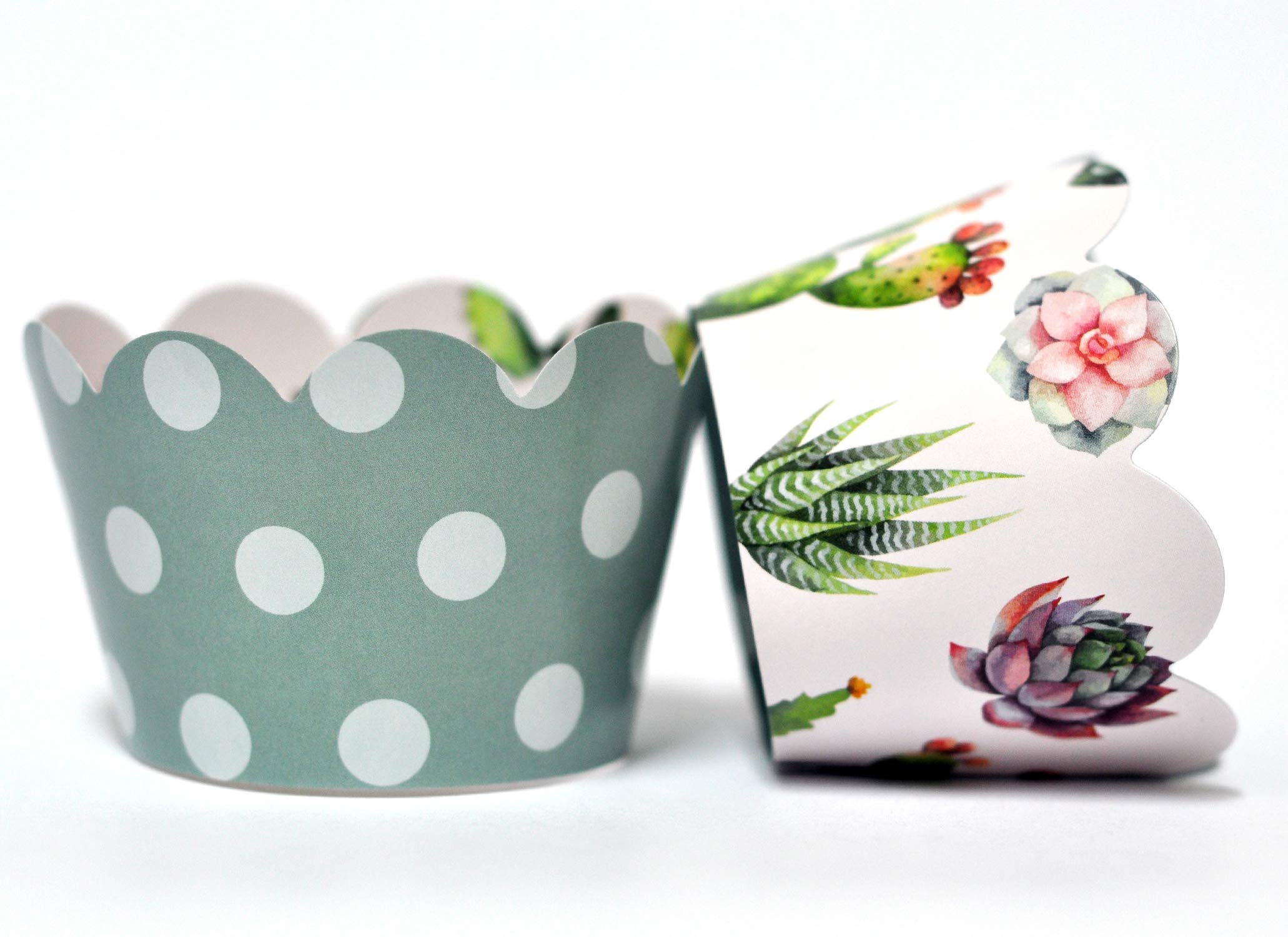 Cactus And Succulent Cupcake Wrappers For Kids Birthday Parties, Baby Showers, Bridal Showers, And Weddings. Set Of 24 Reversibl