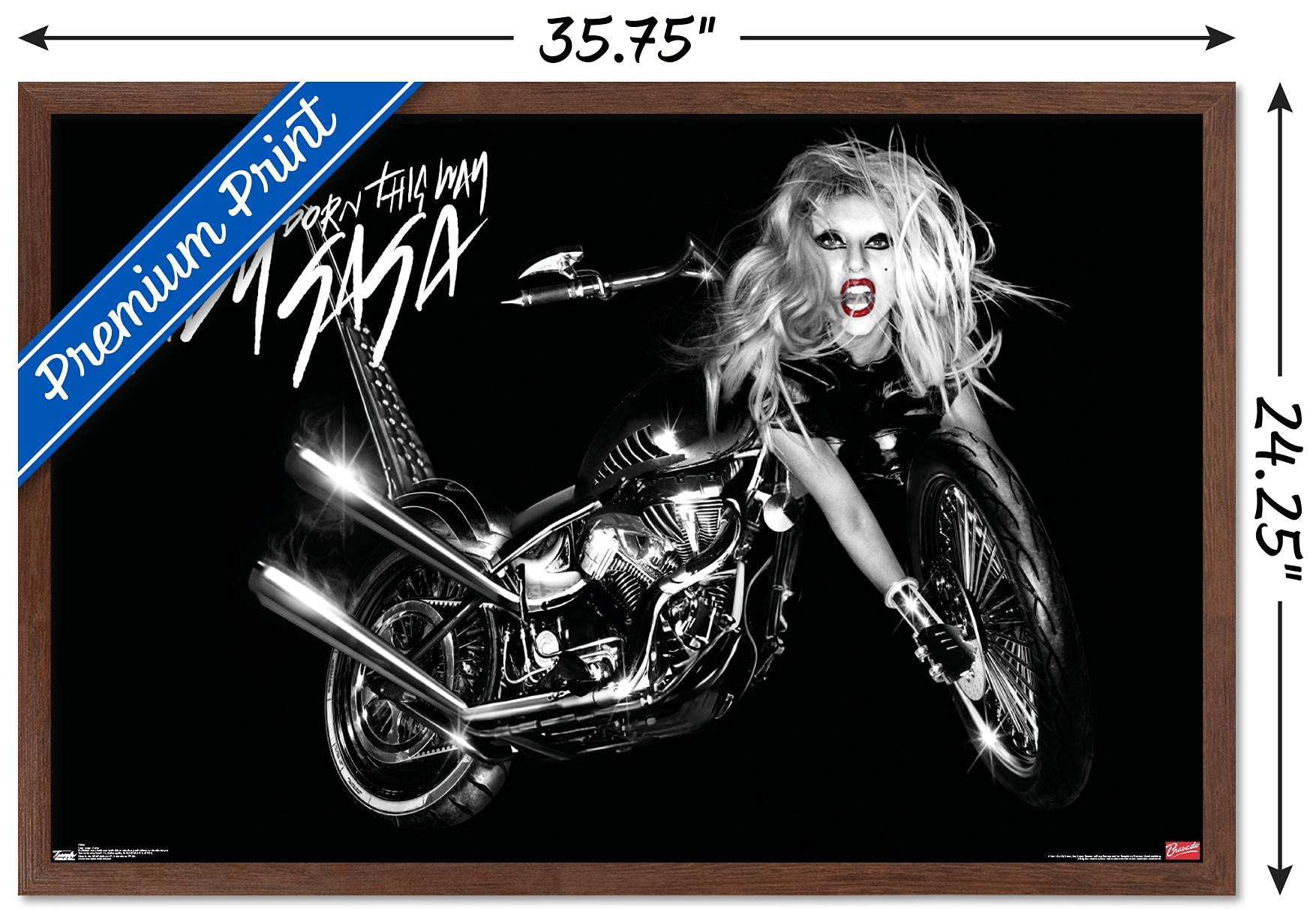 Trends International Lady Gaga - Cover Wall Poster, 22.375'' X 34'', Mahogany Framed Version