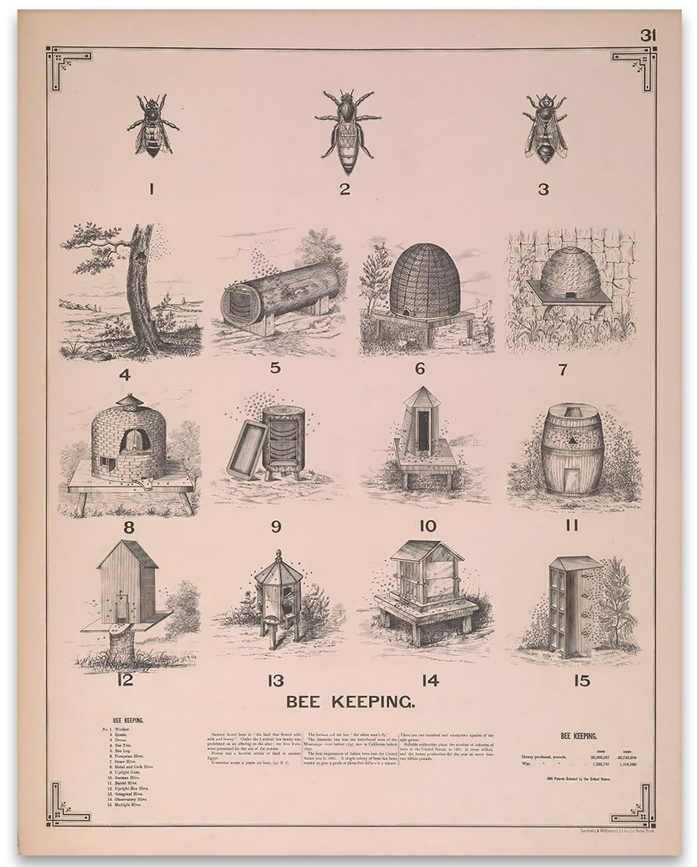 Antique Bee Hives Bee Keeping Poster - Unframed 11X14 Art Print - Great Vintage Decor And Gift For Nature Lovers, Farmers, Honey
