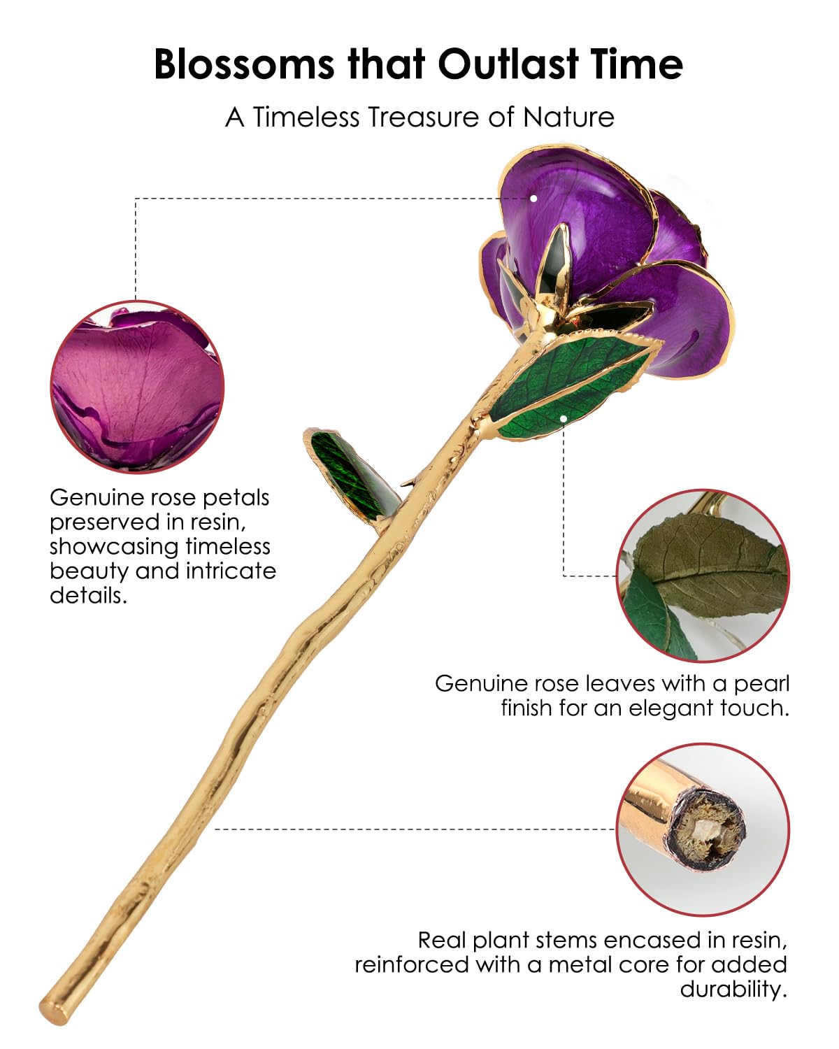 ECO SPACE 24K Gold Dipped Rose - Handpicked Real Rose in 24K Gold - Regal, One-of-a-Kind Romantic Gift for Her - Perfect for Bir
