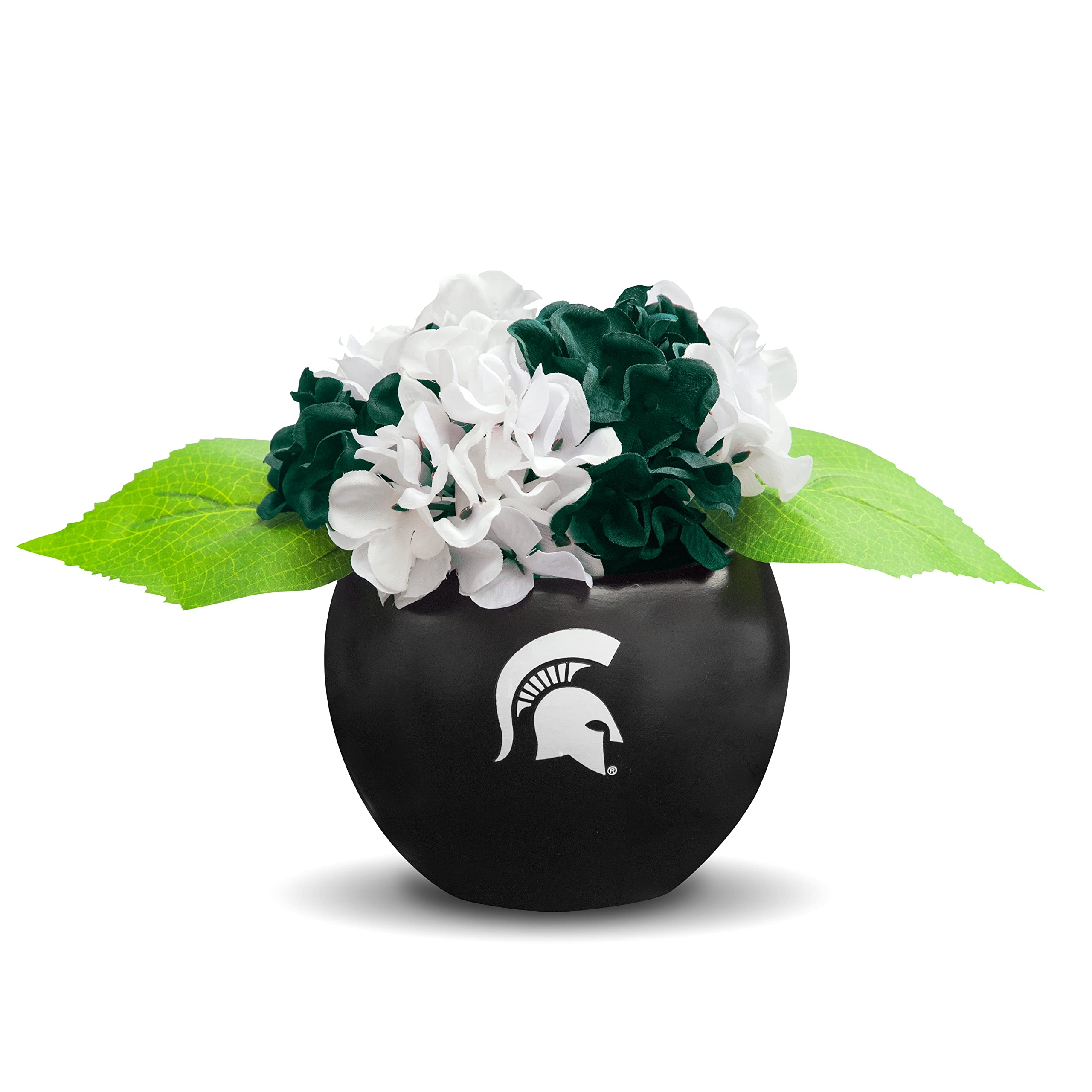 MSU Hydrangea Plant, MSU Faux Hydrangea Plant, MSU Gifts for Men, MSU Gifts for Women, MSU Gifts, Spartan Decorations, MSU Man C