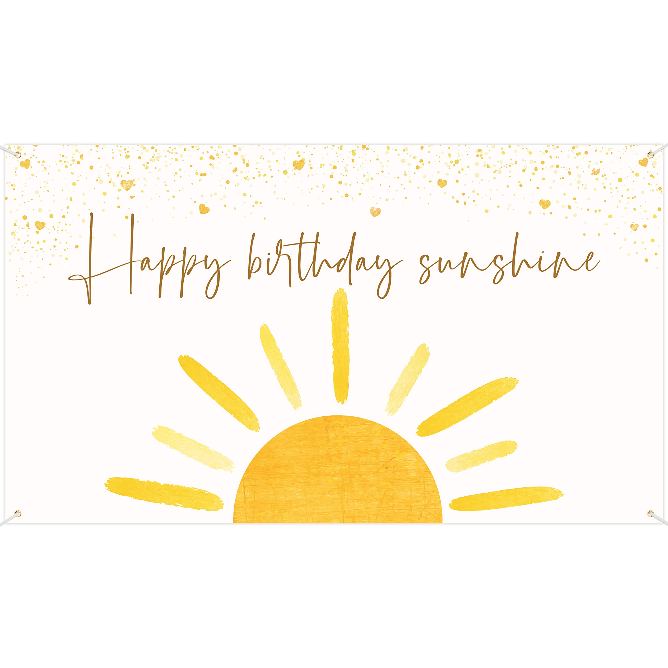 G1Ngtar Boho Sun Happy Birthday Sunshine Backdrop Banner First Trip Around The Sun Wall Hanging Decor Muted Sun Theme Birthday P