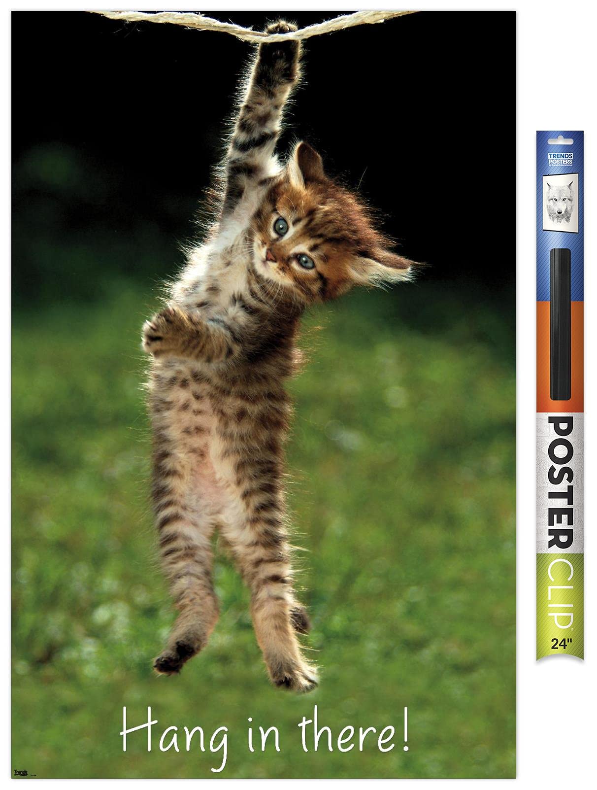 Trends International Famous Kitten Hang In There Poster Wall Poster, 22.37'' X 34.00'', Premium Poster & Clip Bundle