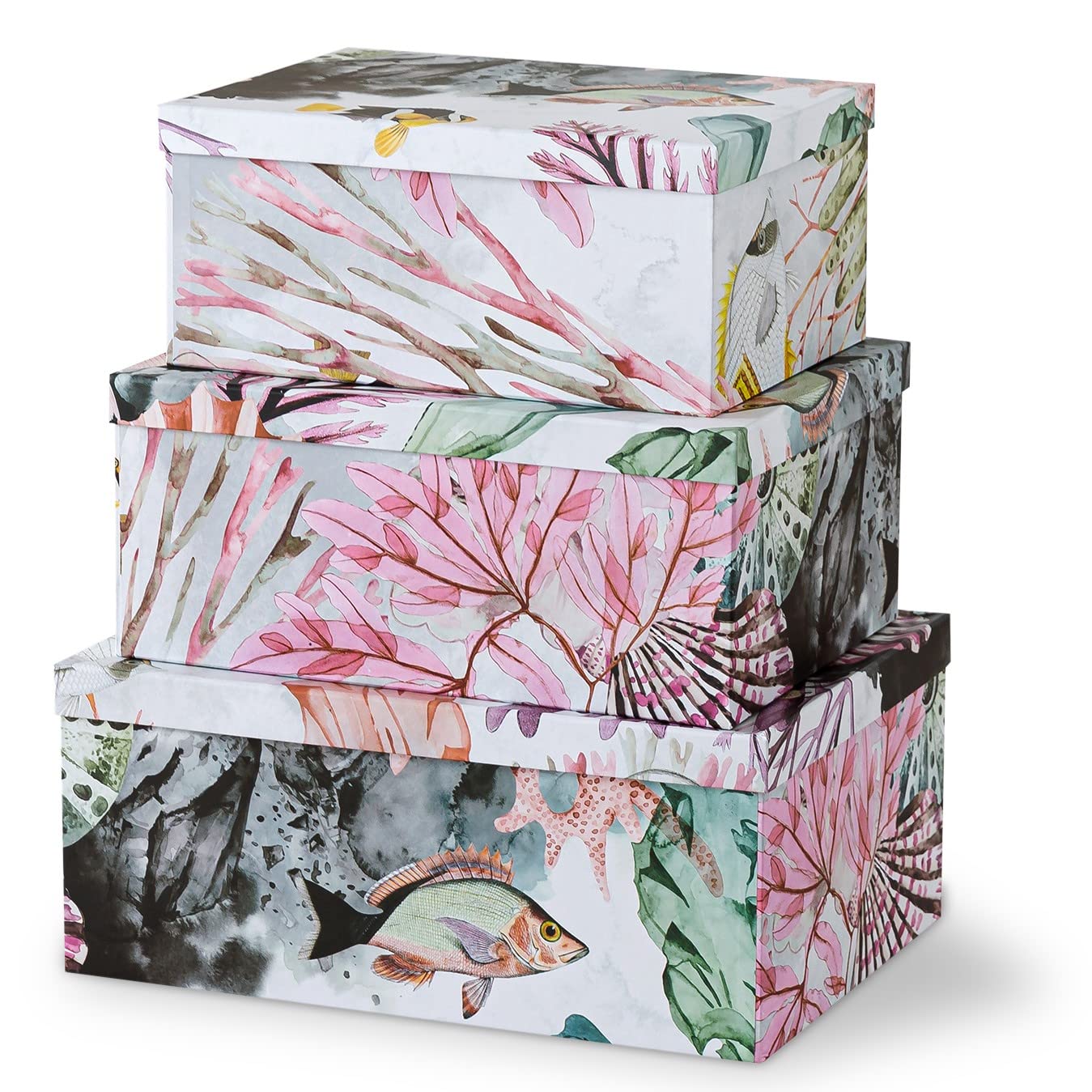 Soul & Lane Ocean Treasures Modern Home D  cor Keepsake Boxes - Set of 3: Beach-Themed Photo Storage with Lids, Decorative Cardb