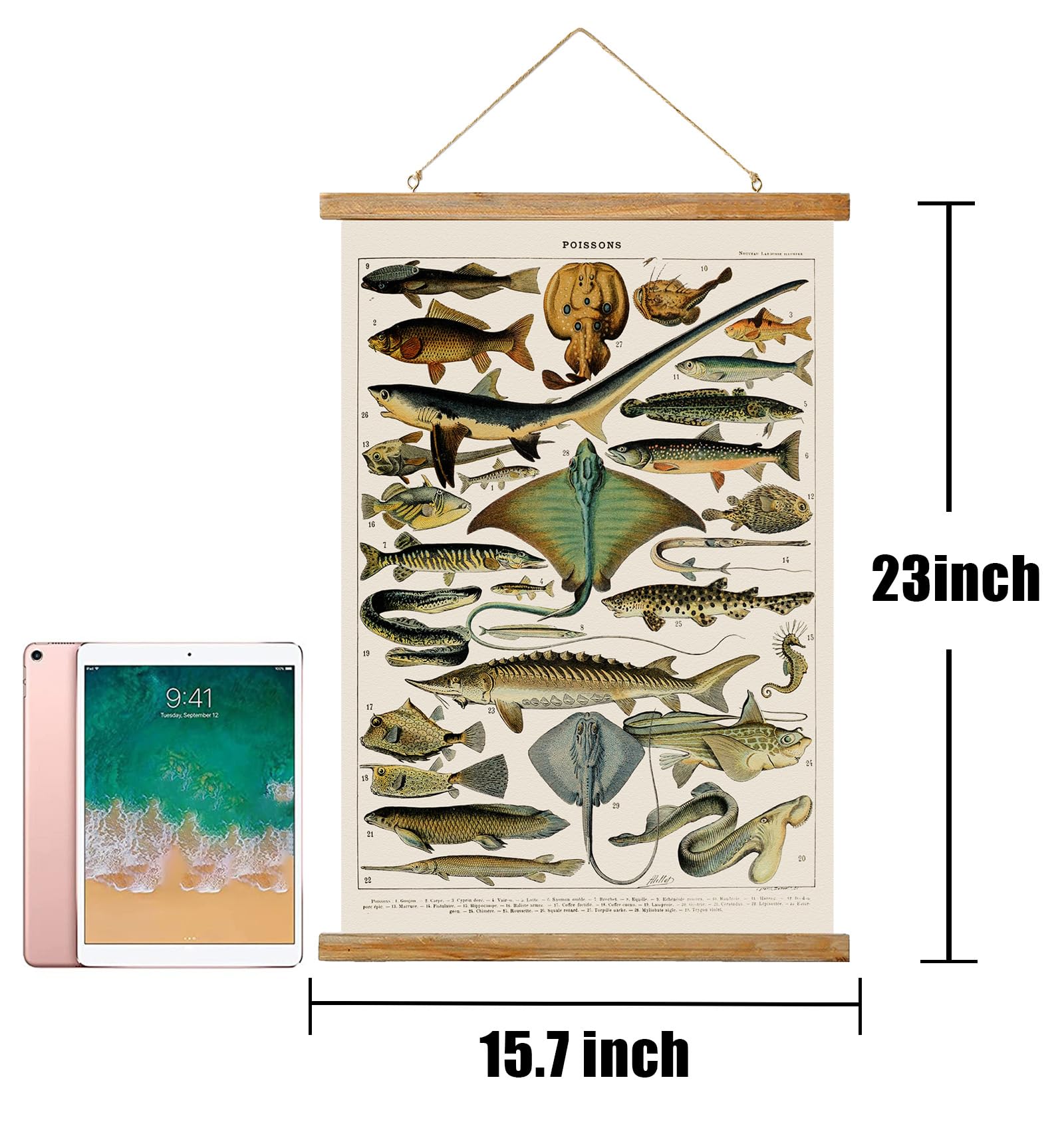 Ovfovy Vintage Fish Poster, Rustic Room Aesthetic, Retro Wall Art Prints Without Fading, Printed On Linen With Wood Frames, Read