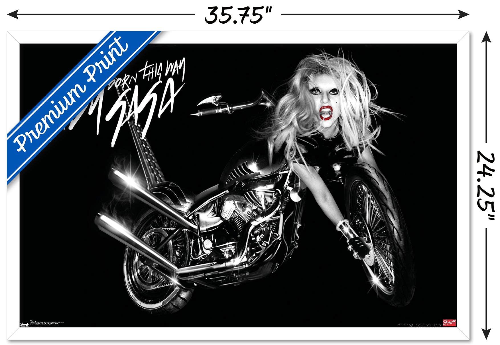 Trends International Lady Gaga - Cover Wall Poster, 22.375'' X 34'', White Framed Version