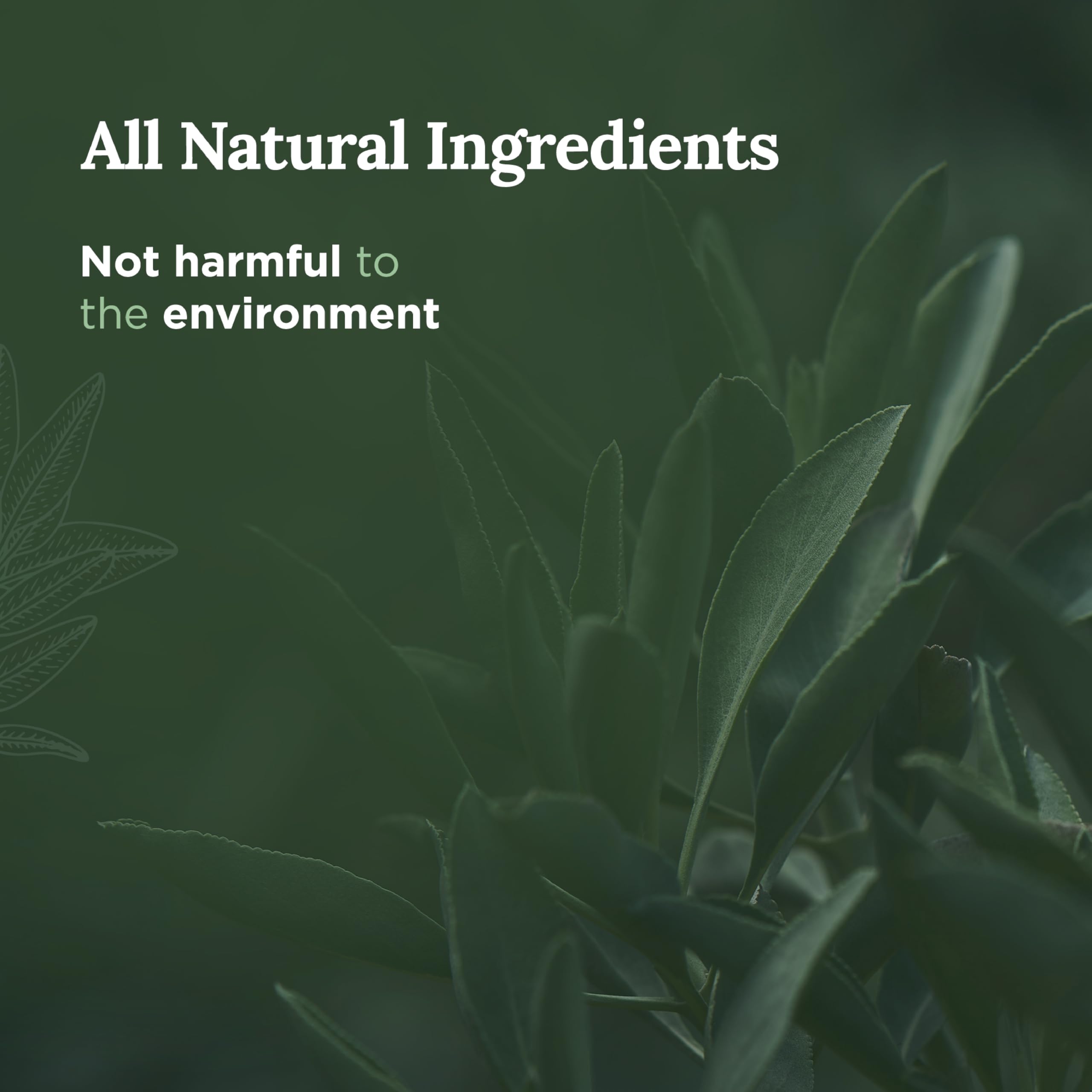 Magnificent 101 Long Lasting Pure Sage Smudge Candle  6 Oz - 35 Hour Burn Time  All Natural & Organic Soy Wax Candle with Essent