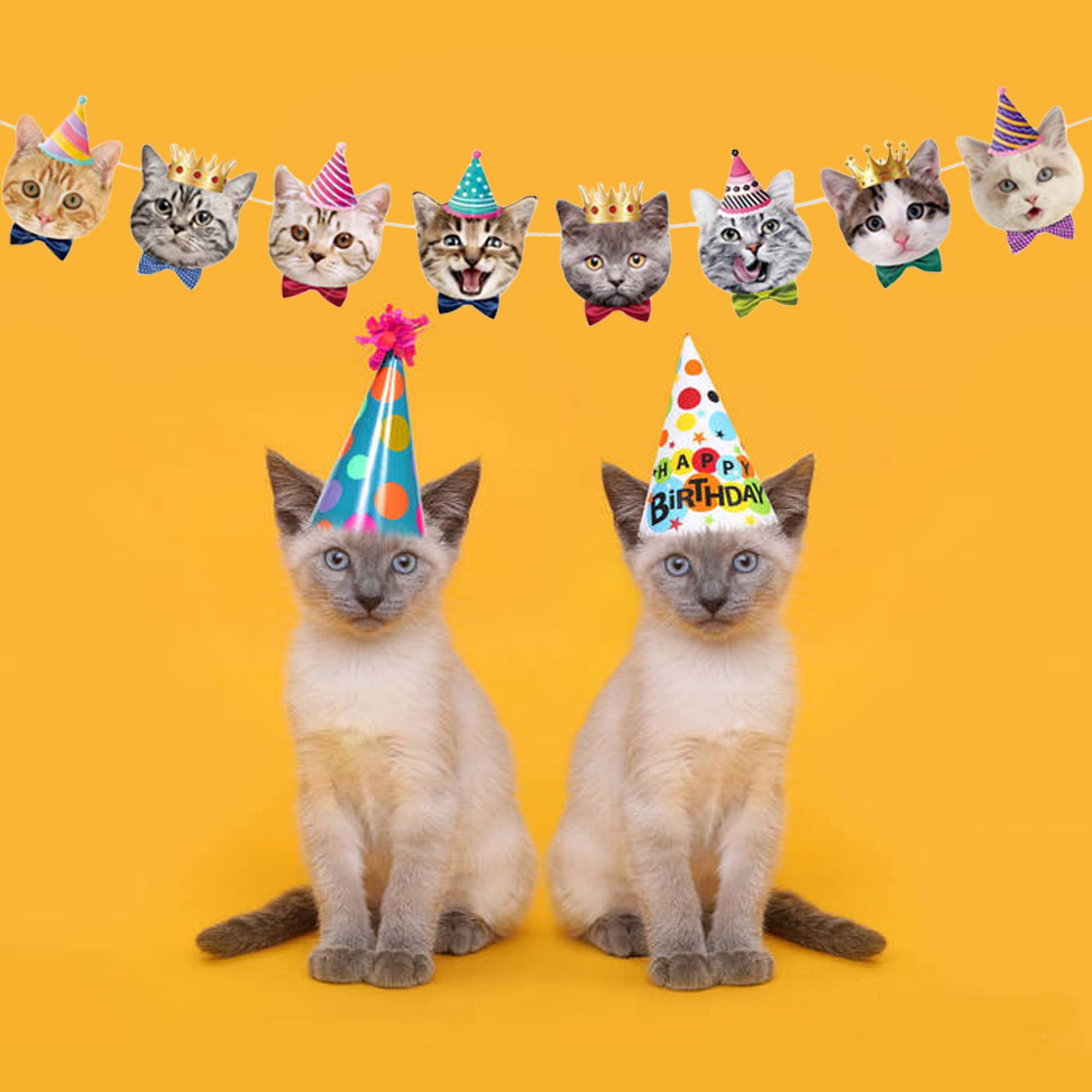 Tsj Cat Birthday Banner, Cat Face Party Banner, Kitty Cat Theme Party Bunting Decoration For Cat Adoption Birthday Party Favors