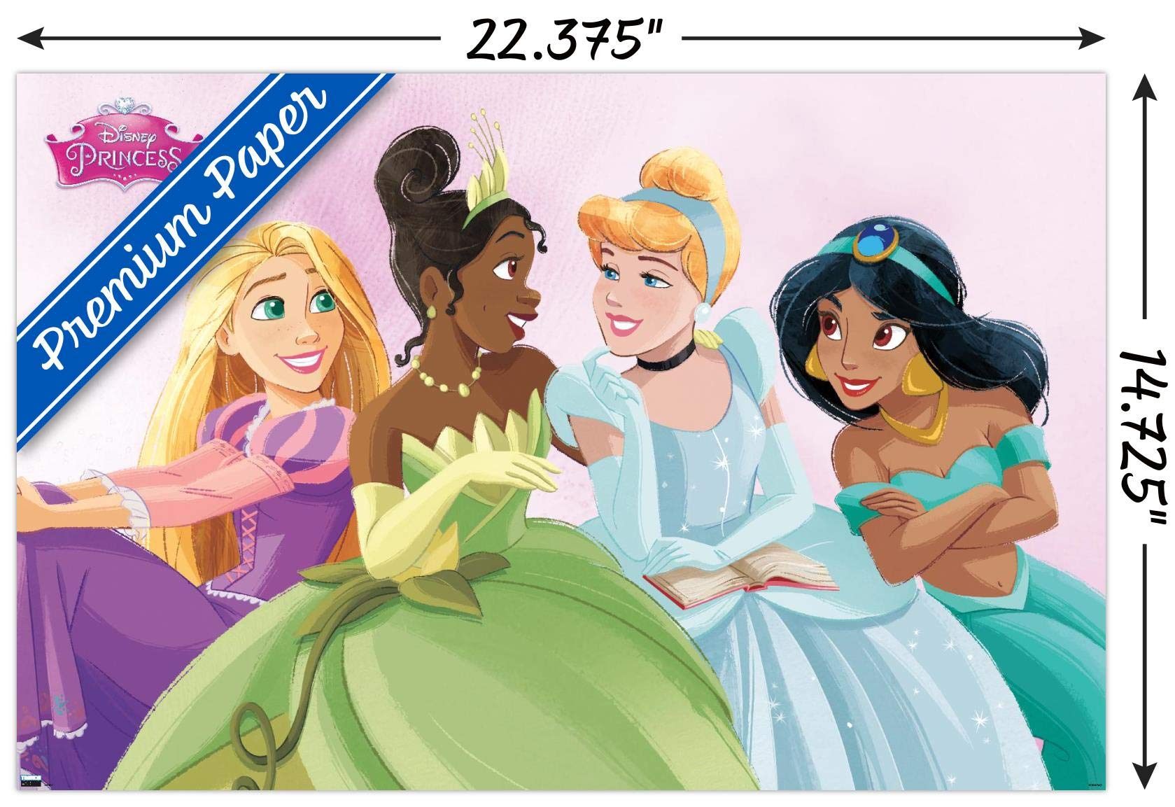 Trends International Disney Ultimate Princess Celebration-Group Wall, 14.725'' X 22.375'', Premium Poster & Mount Bundle