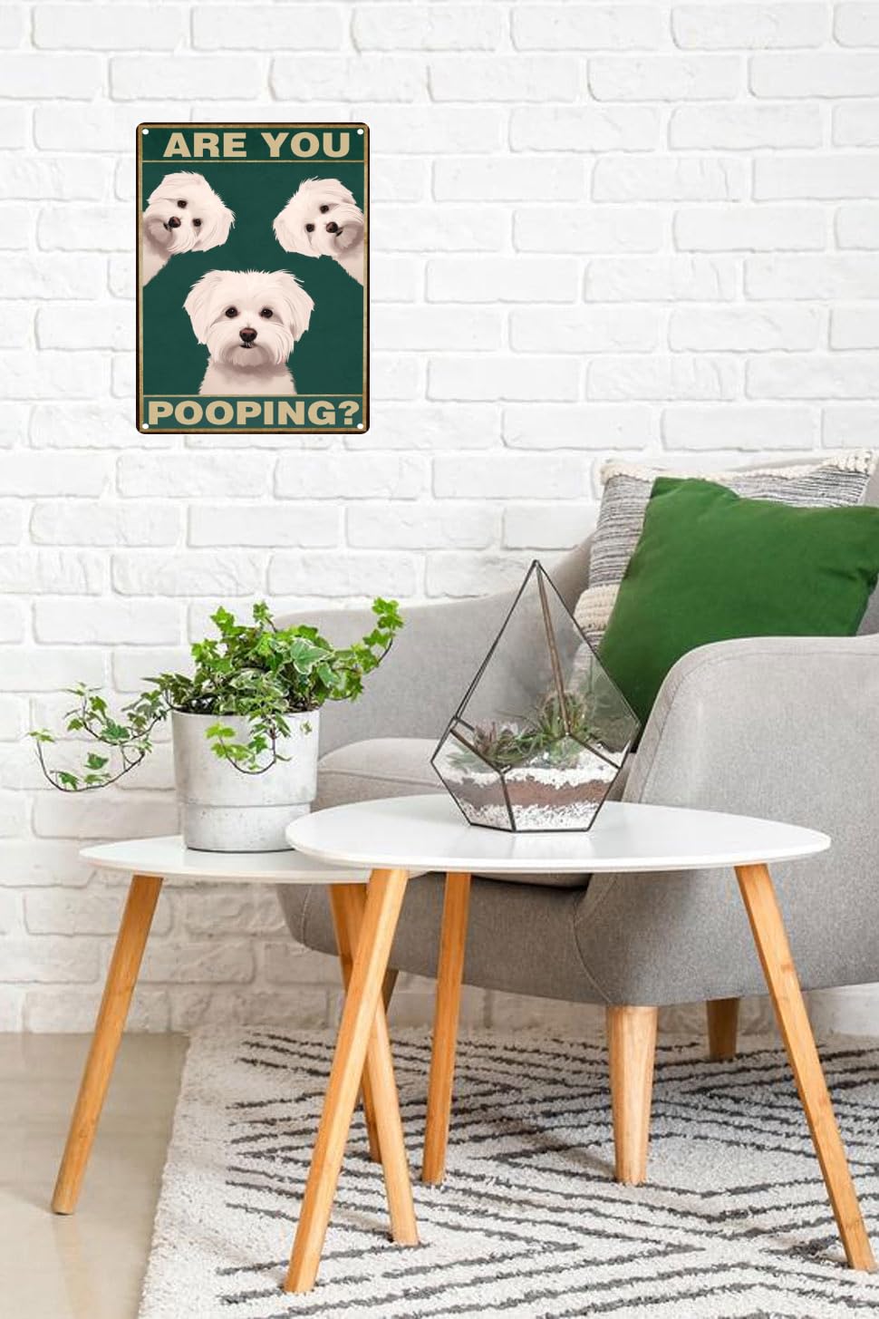 TopPacific Metal Poster - Maltese Dog "Are You Pooping" Sign, 12x16 inches, Aluminum, Funny Bathroom Decor, Color 1440B