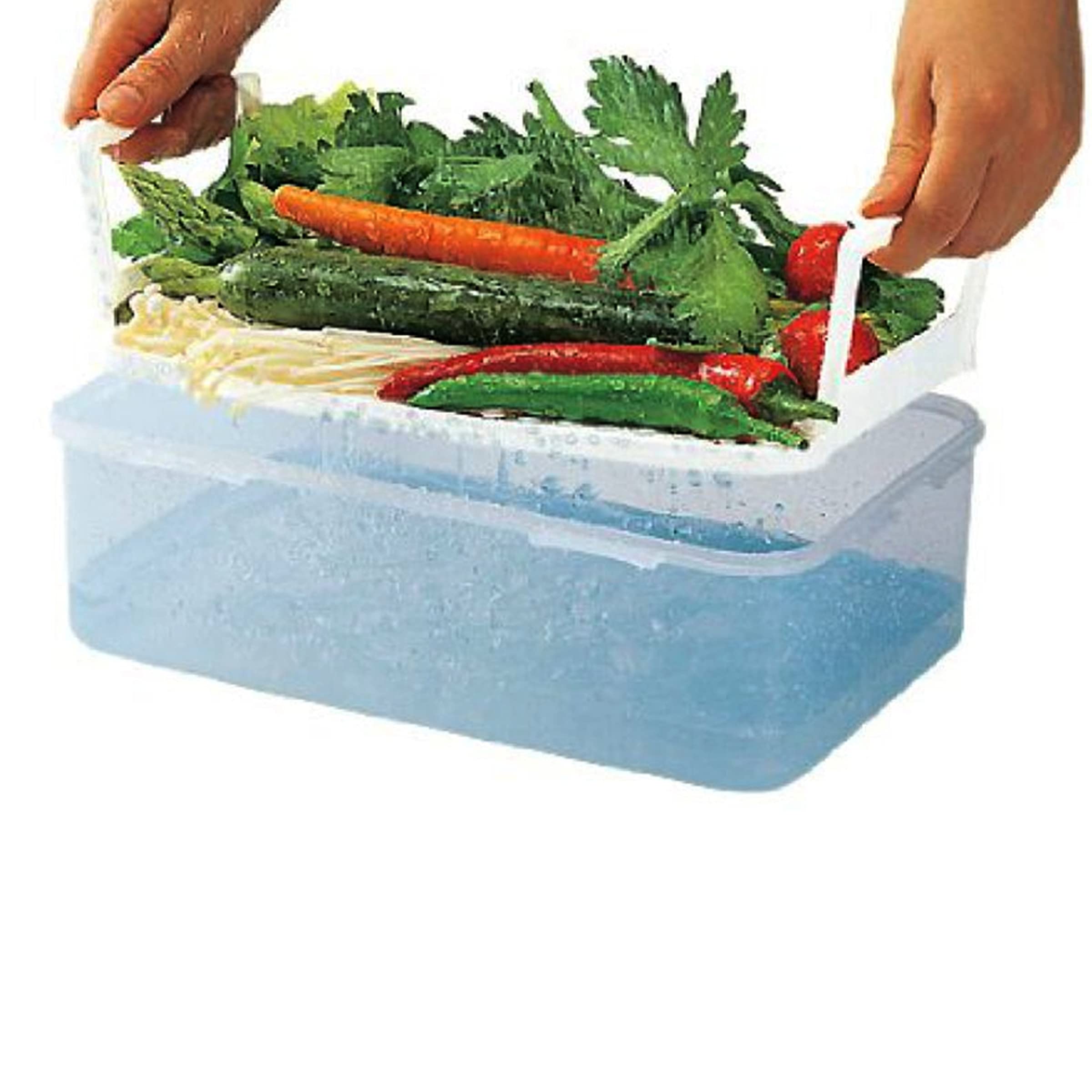 Lock & Lock Airtight Rectangular Food Storage Container With Special Drain Tray 121.73-Oz / 15.22-Cup
