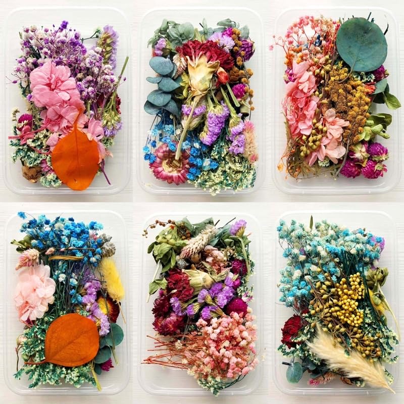 Brightail Infra Natural Real Dried Flowers For Art Craft Mixed Soap, Candle, Scrapbook, Diy, Resin Tray Jewellery, Pendant- [Ran
