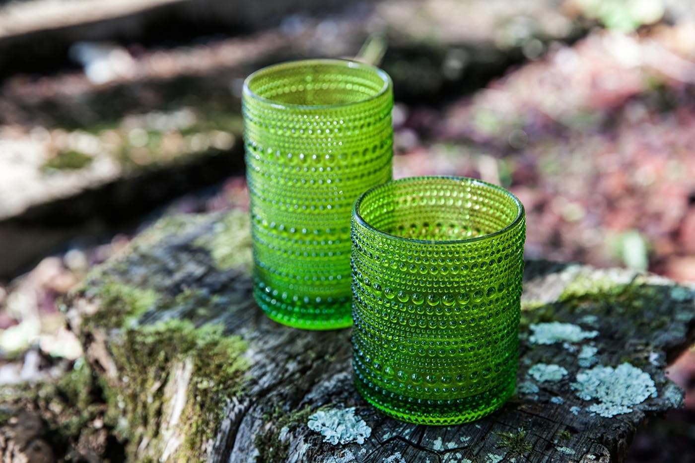 Fortessa Dv Jupiter Double Old Fashion Glass, 10 Ounce, Set Of 6, Fern