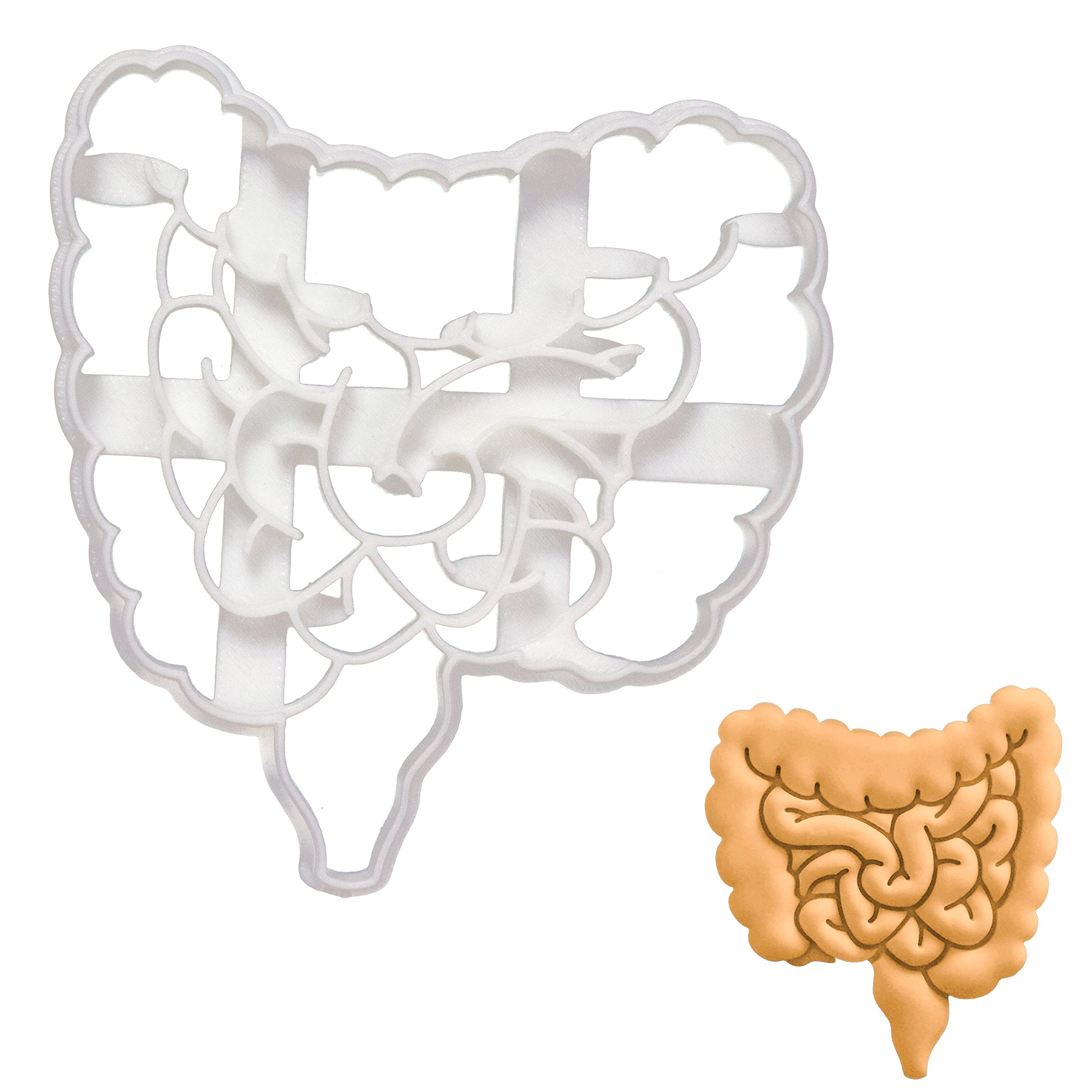 Intestines Cookie Cutter, 1 Piece - Bakerlogy