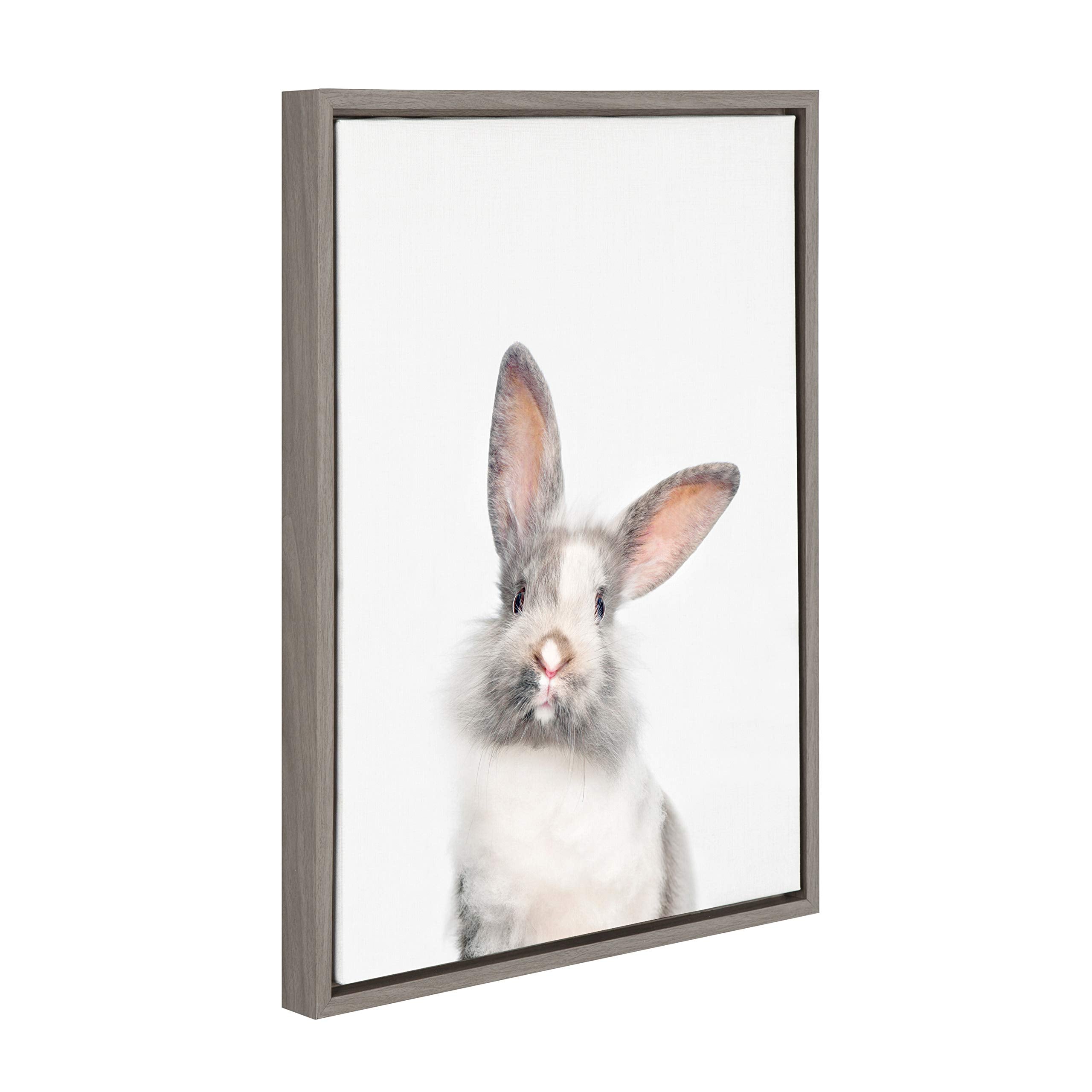 Kate And Laurel Sylvie Baby Bunny Rabbit Animal Print Portrait Framed Canvas Wall Art By Amy Peterson, 18X24 Gray