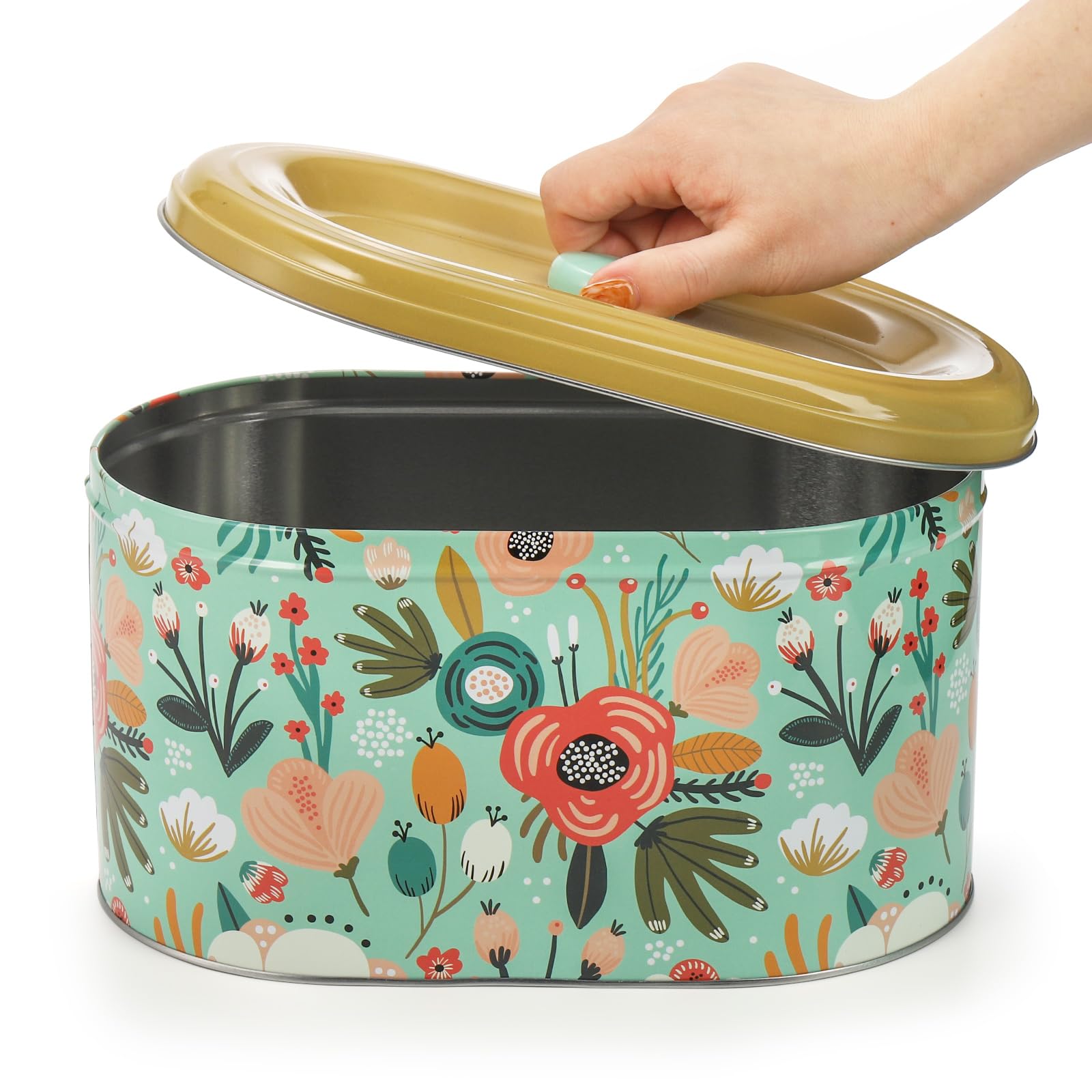 Coloch 2 Pack Tin Cookie Snack Jars With Lid, Metal Biscuit Storage Container Decorative Snack Tin Canister Cute Countertop Tinp