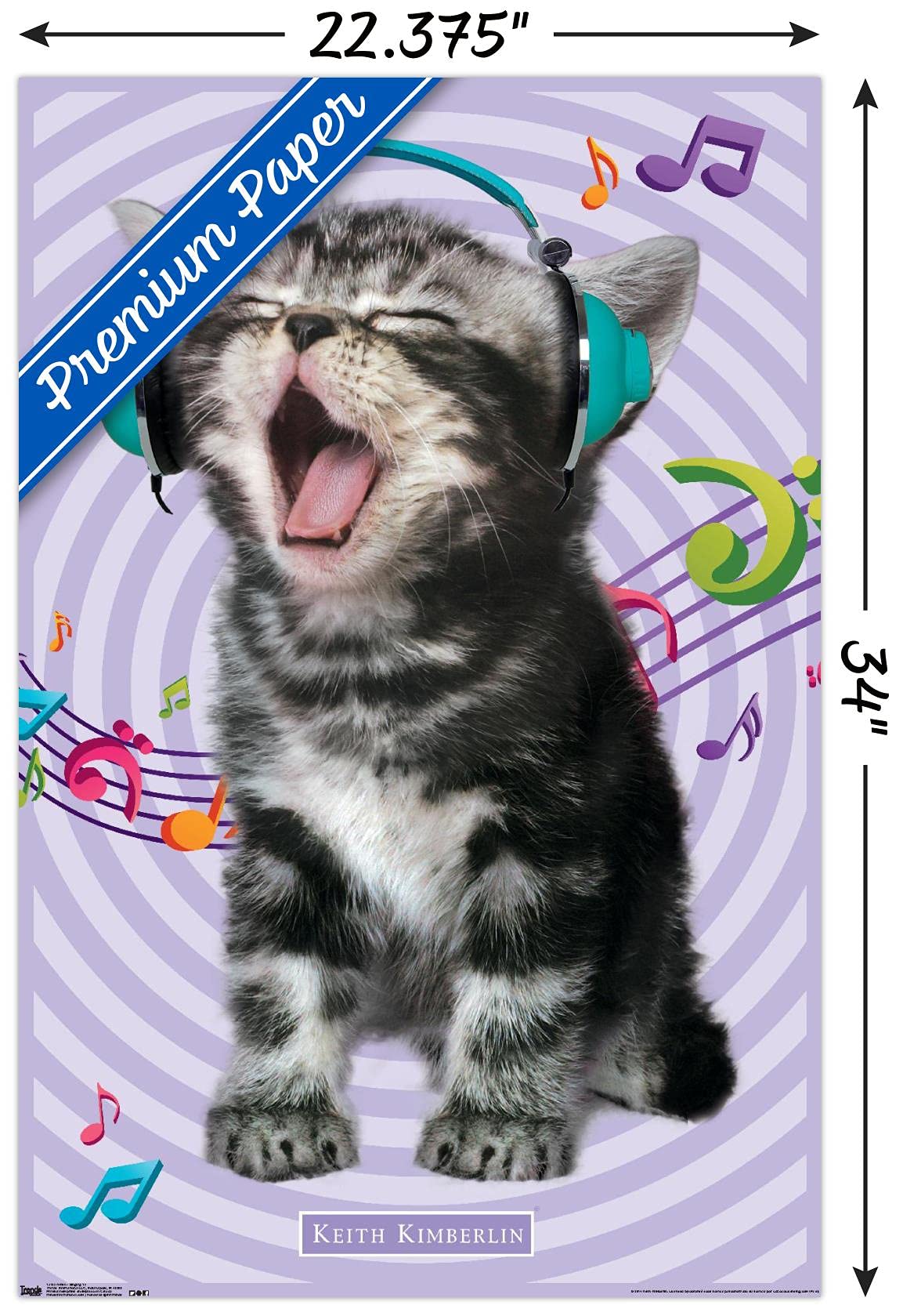 Trends International Keith Kimberlin - Kitten - Singing Wall Poster, 22.375'' X 34'', Premium Poster & Mount Bundle
