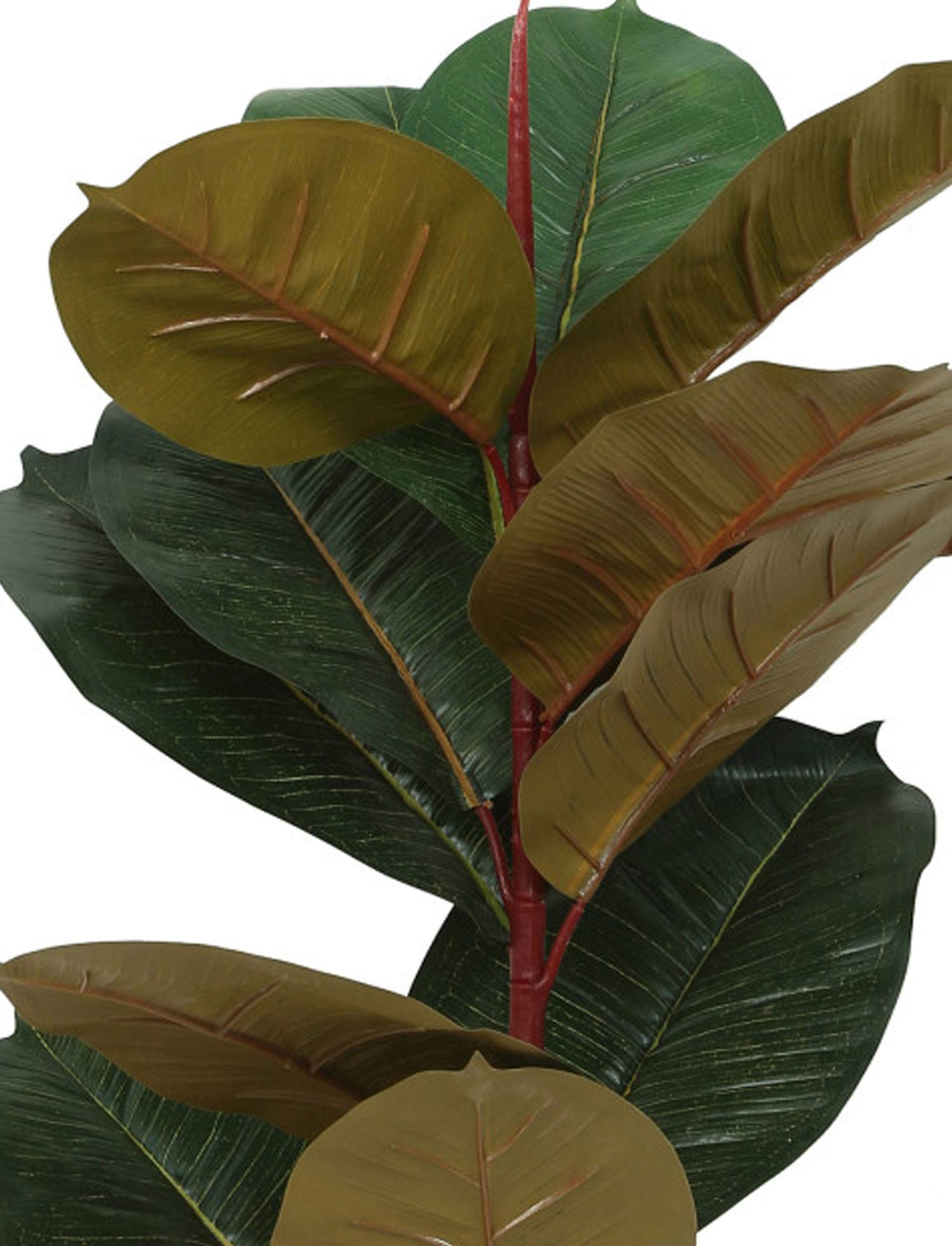 Fourwalls Artificial Rubbrr Floor Plant Without Pot (75 Cm Tall, Green/Red)