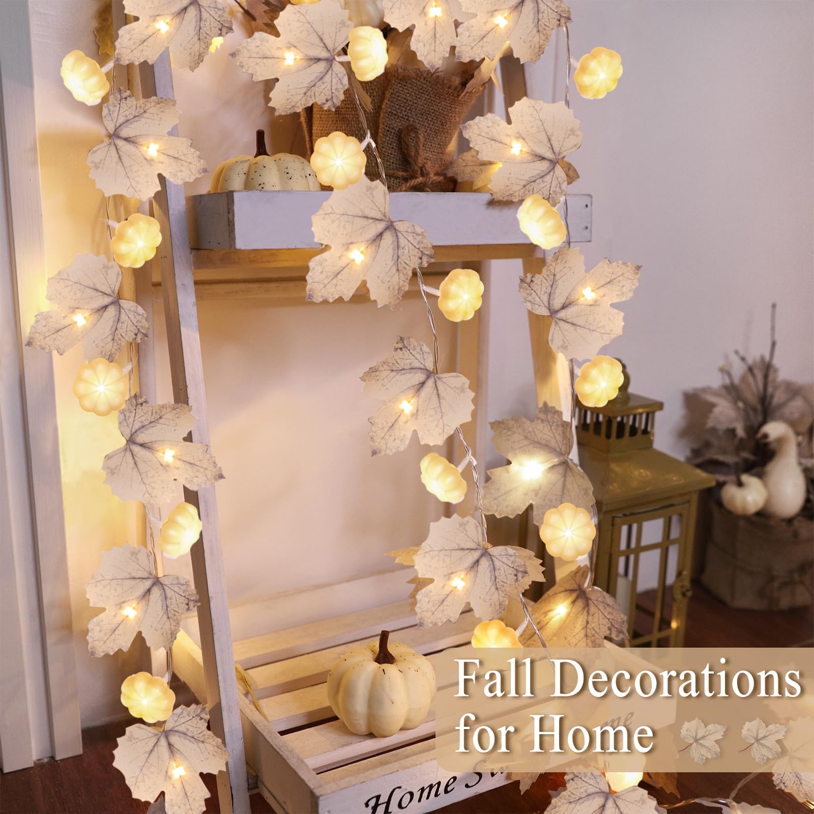 3D Pumpkin Lights & 60 LED, 2 Pack Thanksgiving Garland Fall Decor, Total 20Ft Maples Leaf Garland Fall Lights Thanksgiving Deco