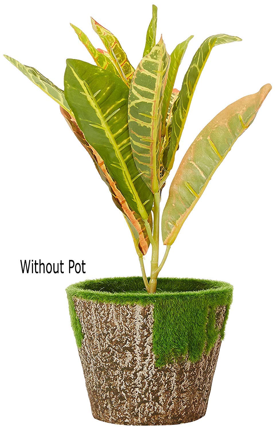Fourwalls Artificial Croton Plant Stems for Home Decoration (35 cm, Set of 3, no Pot)
