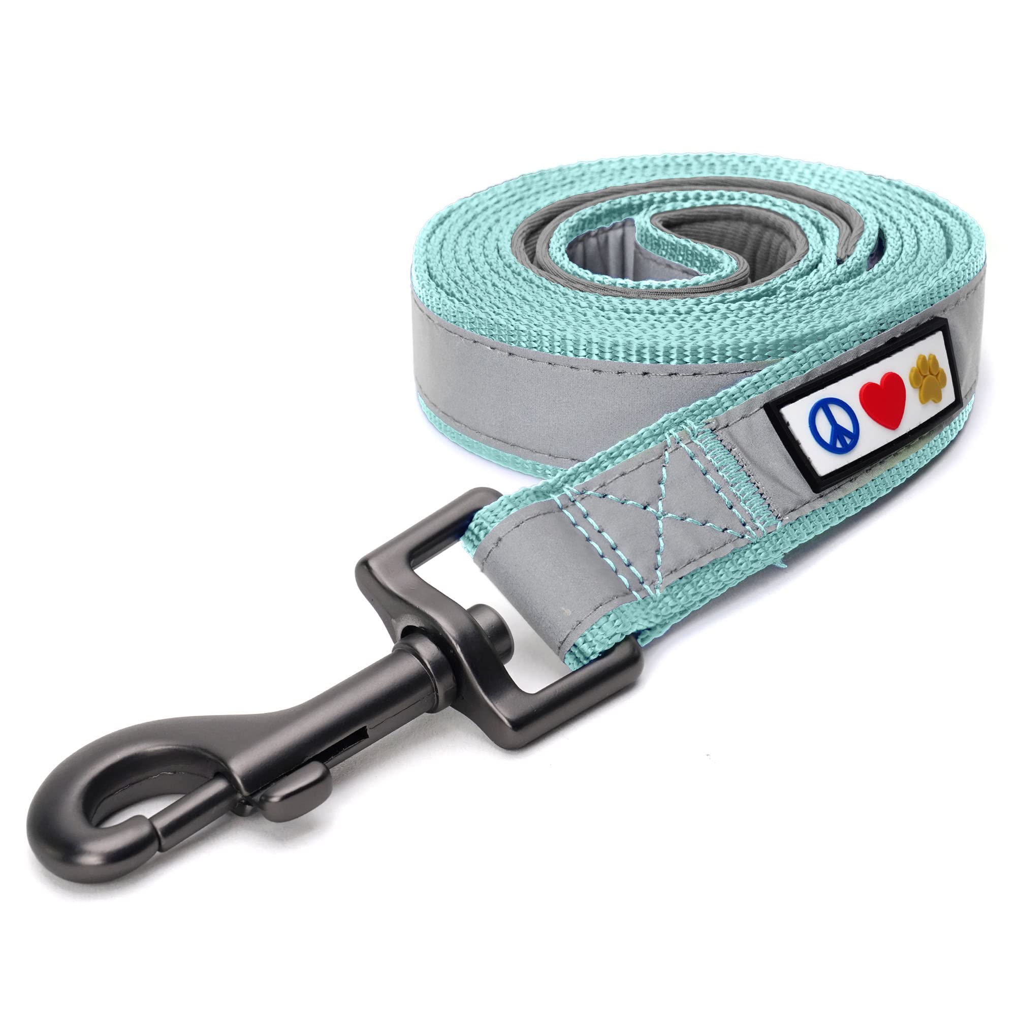 Pawtitas 6 Ft Padded Dog Leash With Comfortable Neoprene Padding Handle - Teal Lead  Small Reflective Dog Leash With Highly Refl
