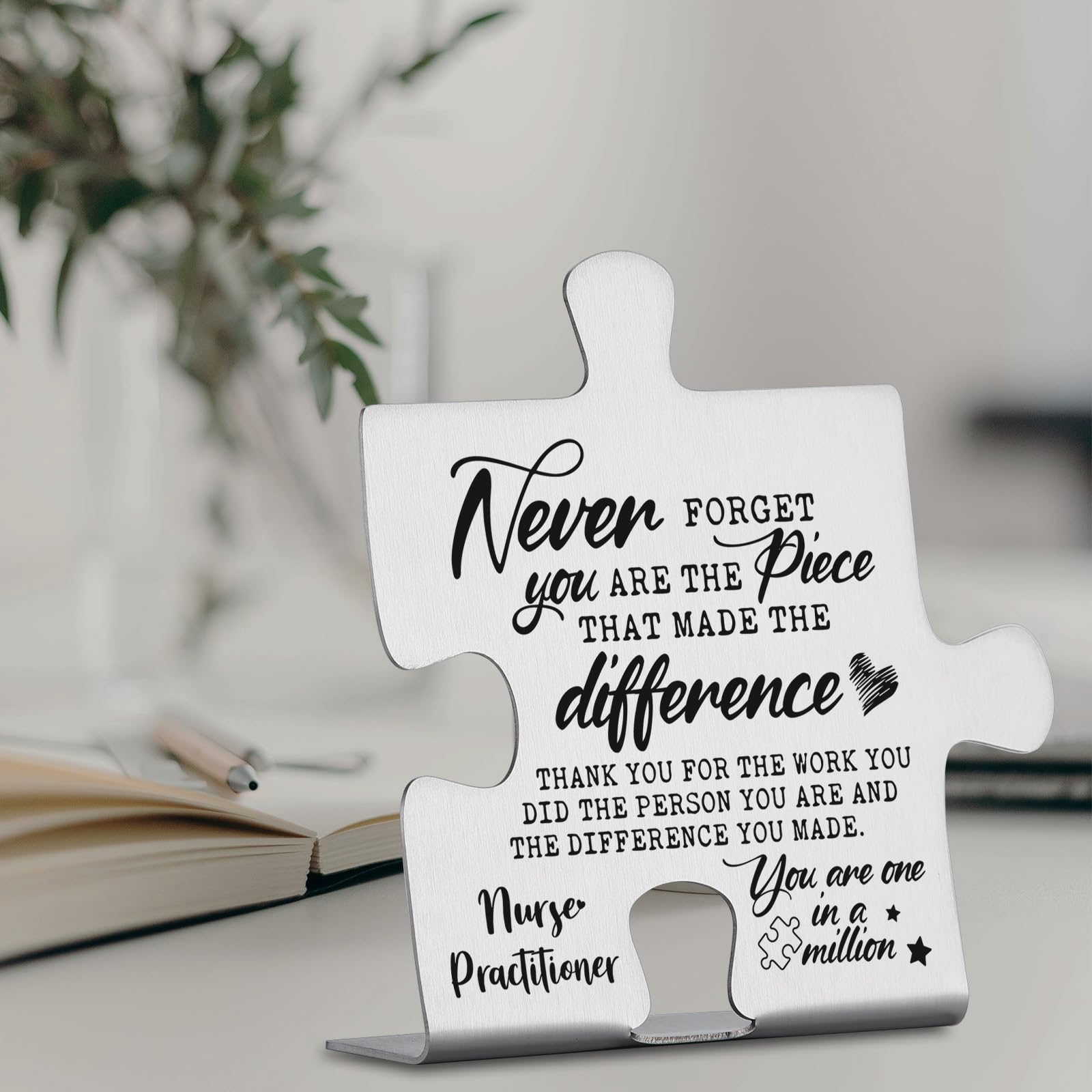 Nurse Practitioner Appreciation Gifts, Thank You Gifts for NP Week Birthday Christmas Team Office Ornament Decor Stainless Steel